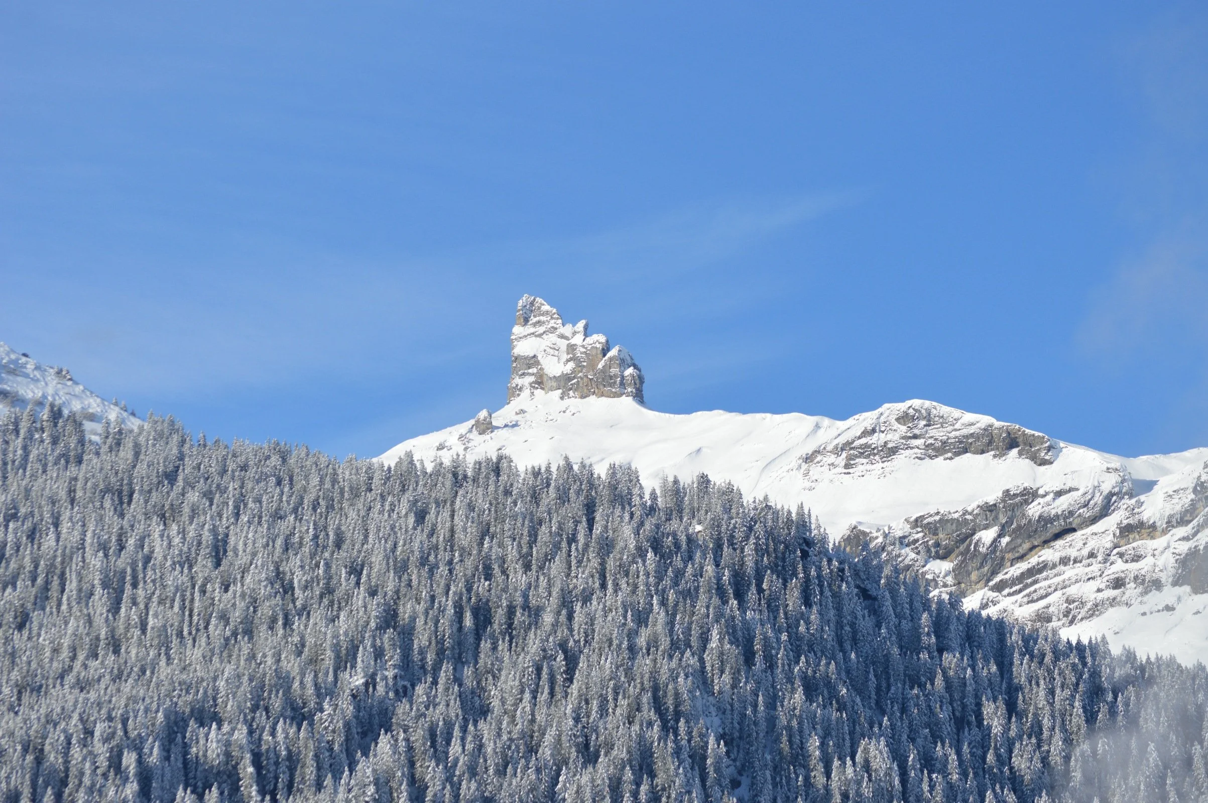 33 Lobhorn mountain.JPG