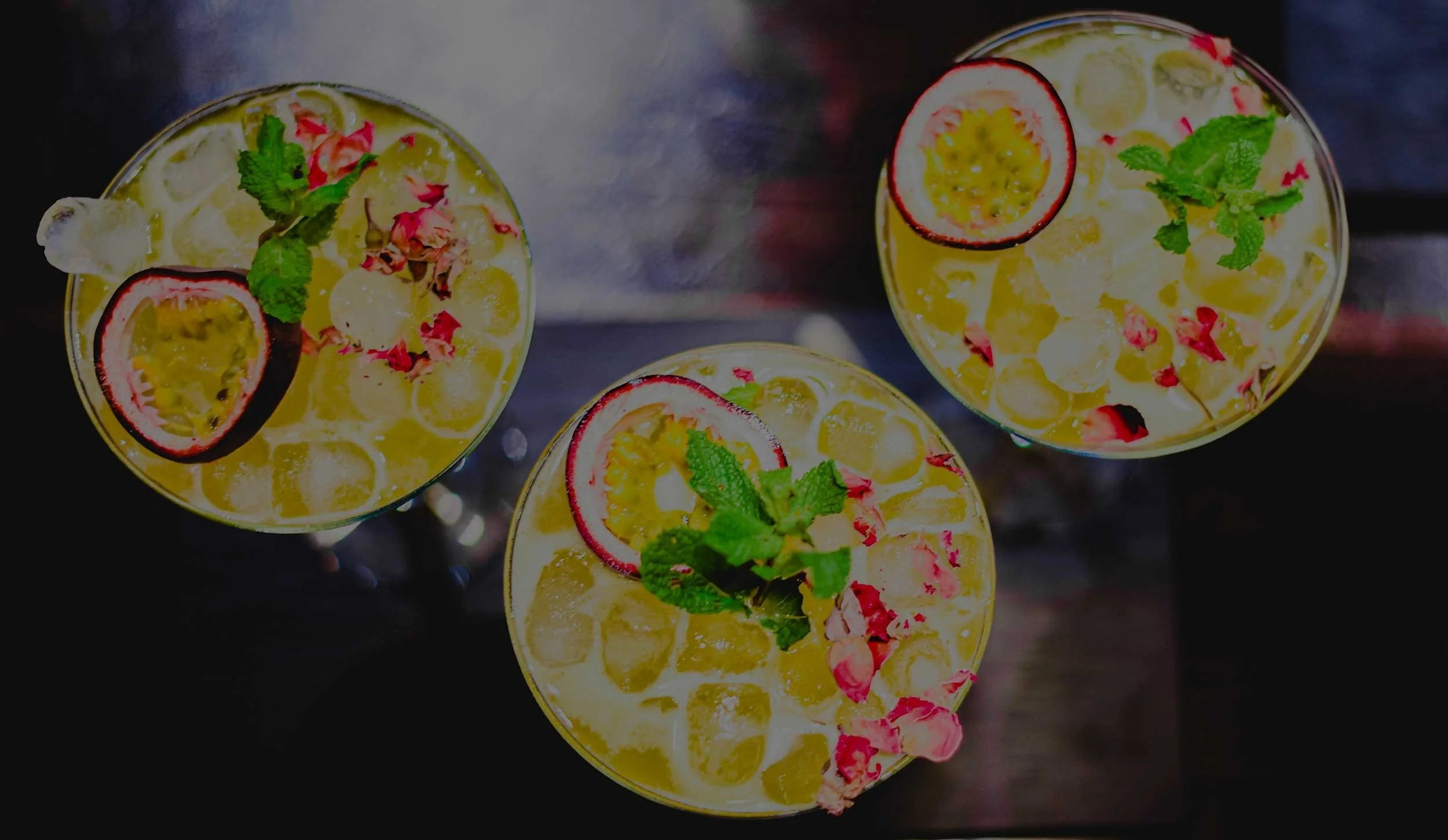 imgi_50_header-bar.jpg