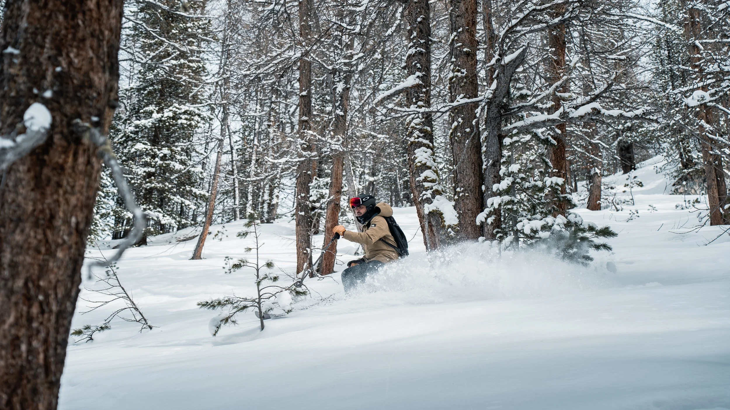 Skiing in the forests of La Fornet the snowboard cruises between the trunks in fresh powder conditions.