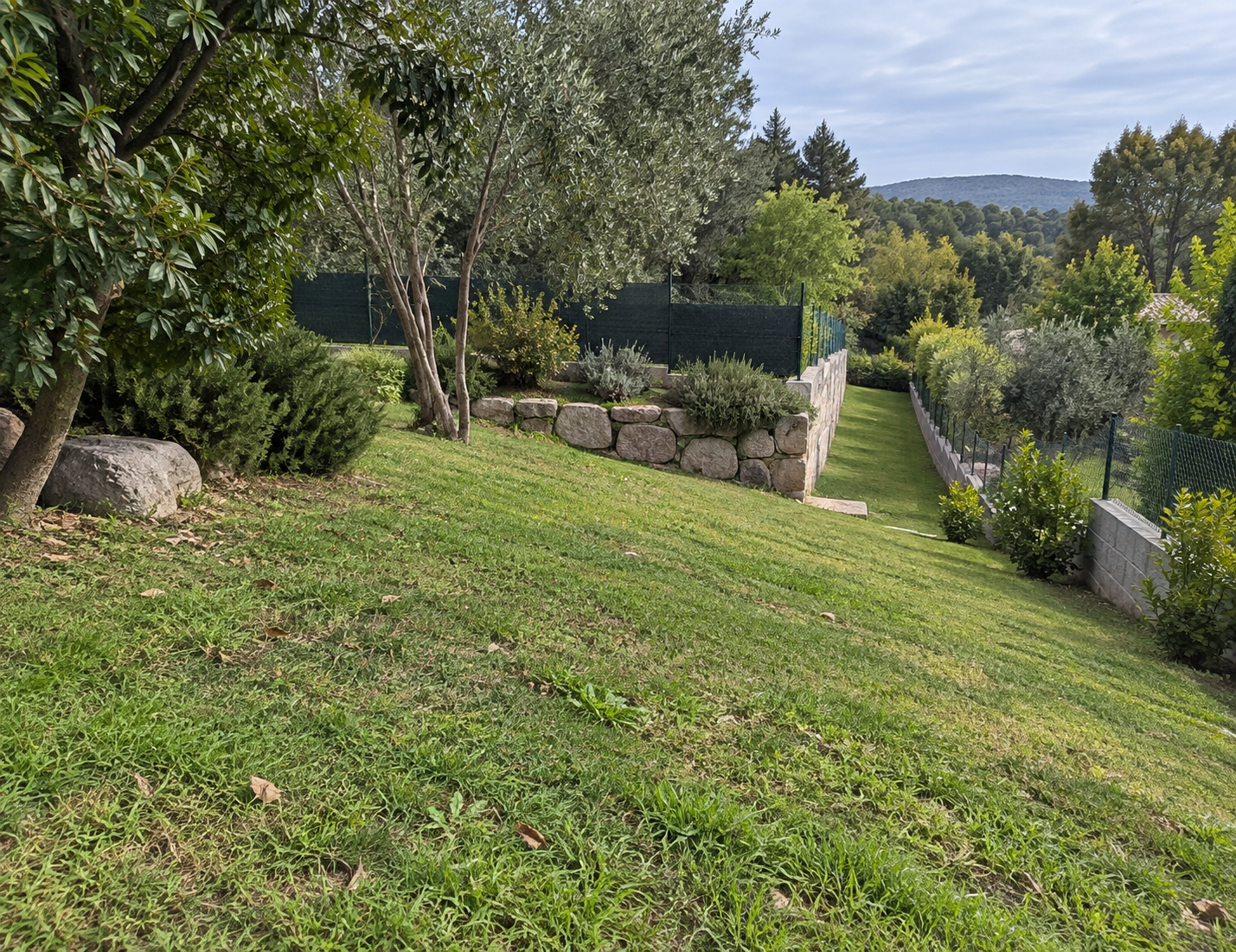 Jardín con pendiente, árboles y muros de piedra para evaluar un robot cortacésped.