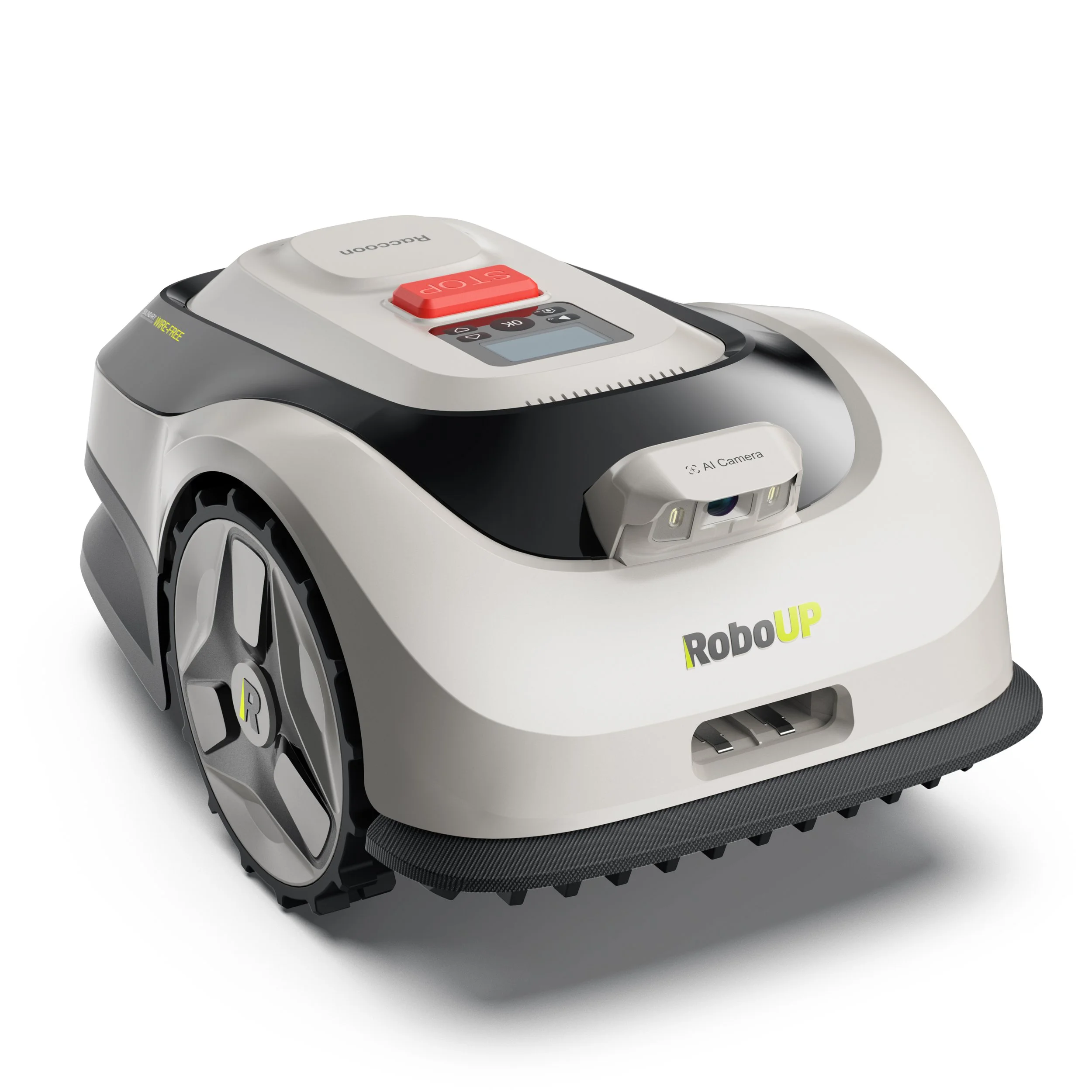 Raccoon 2 SE.1.1.jpg