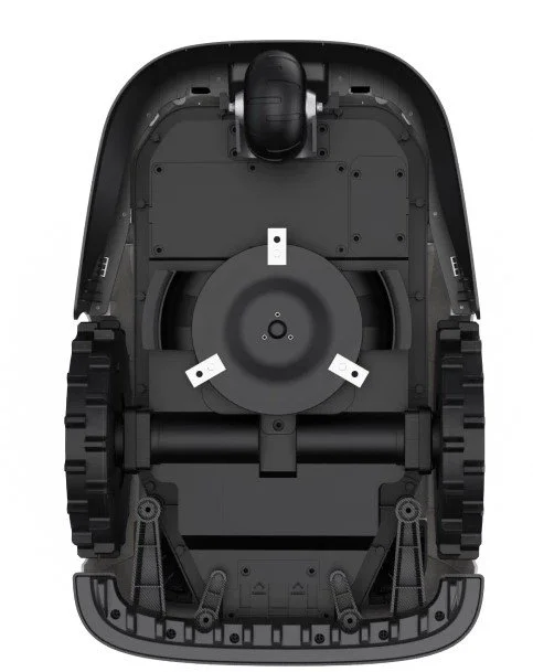 Raccoon 2 SE.1.3.jpg