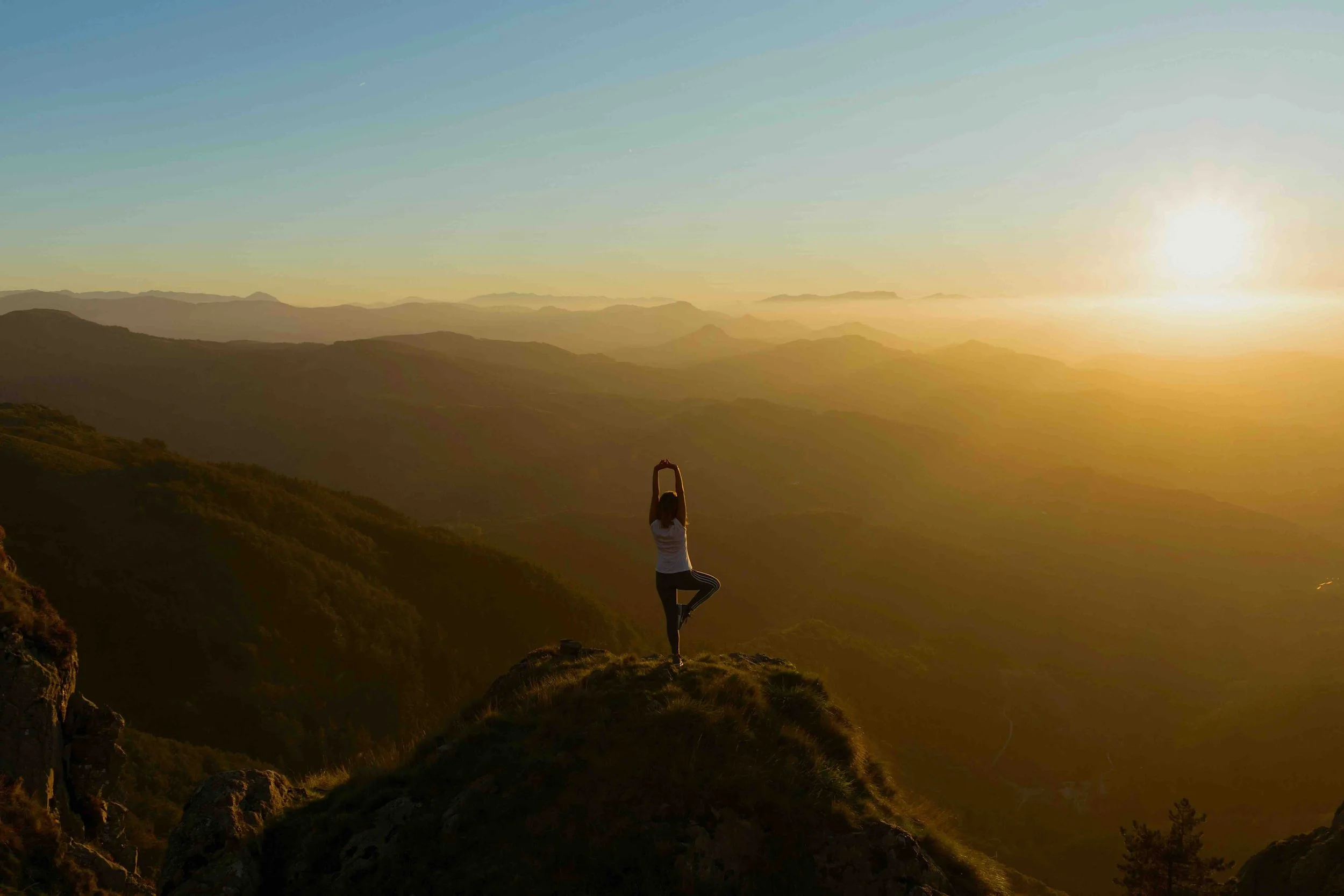 Case Study: Wellness Ranch Vacations