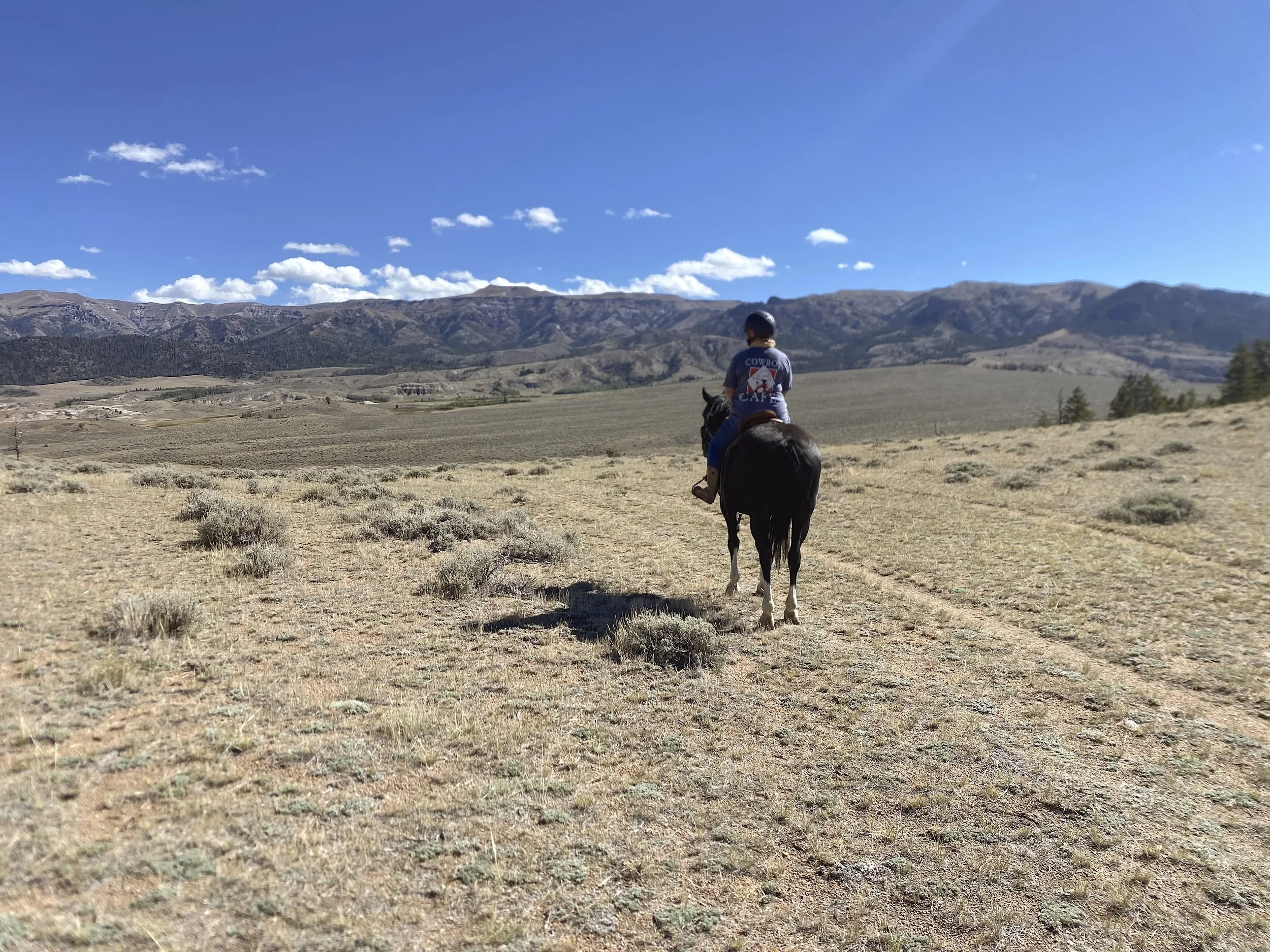 Case Study: Top50 Ranches 