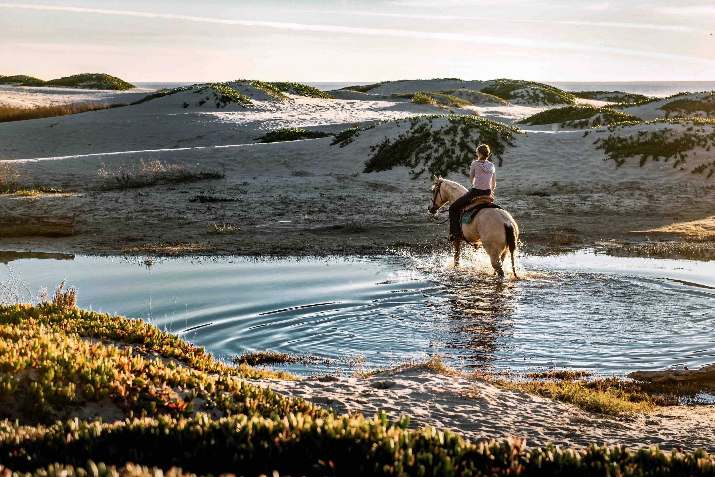 Person riding a horse through shallow water on a sandy beach with dunes and green bushes, under a partly cloudy sky during sunset.