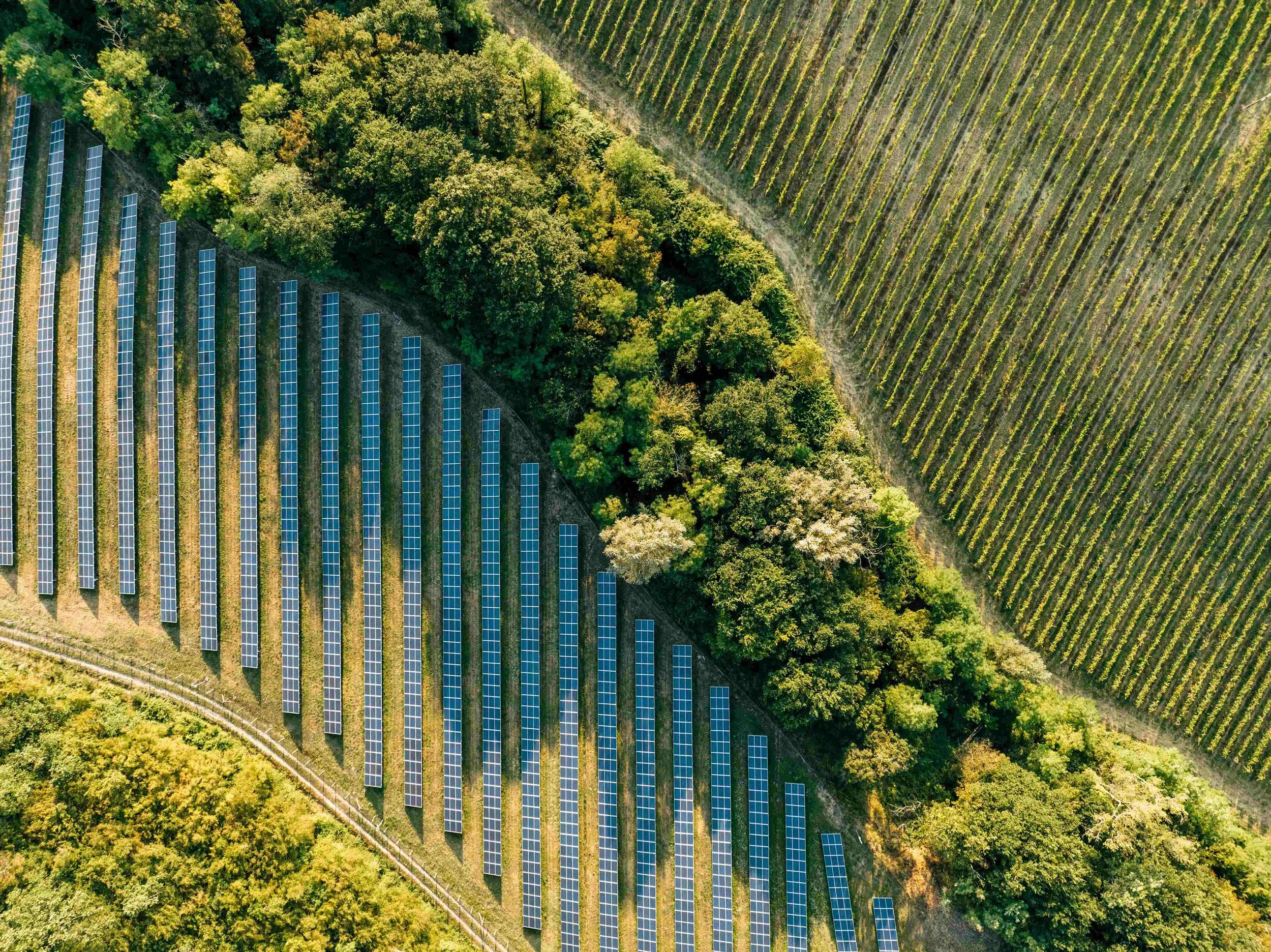 Debt Financing Low Carbon Projects in the UK 