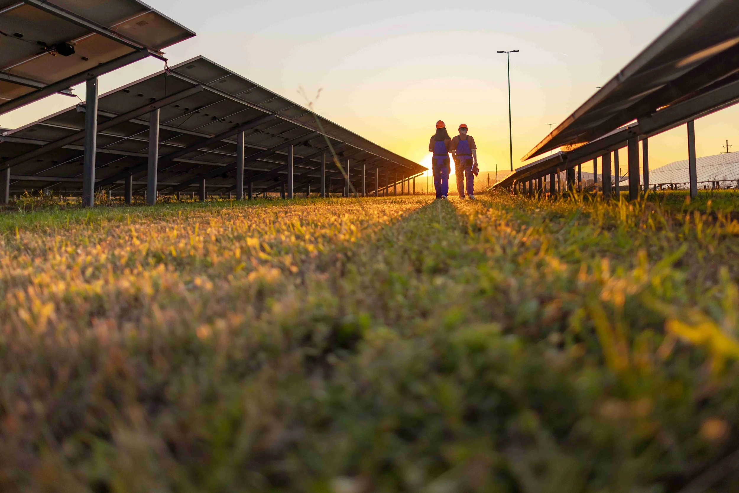 Innovator Stories: The Net Zero Innovation Portfolio