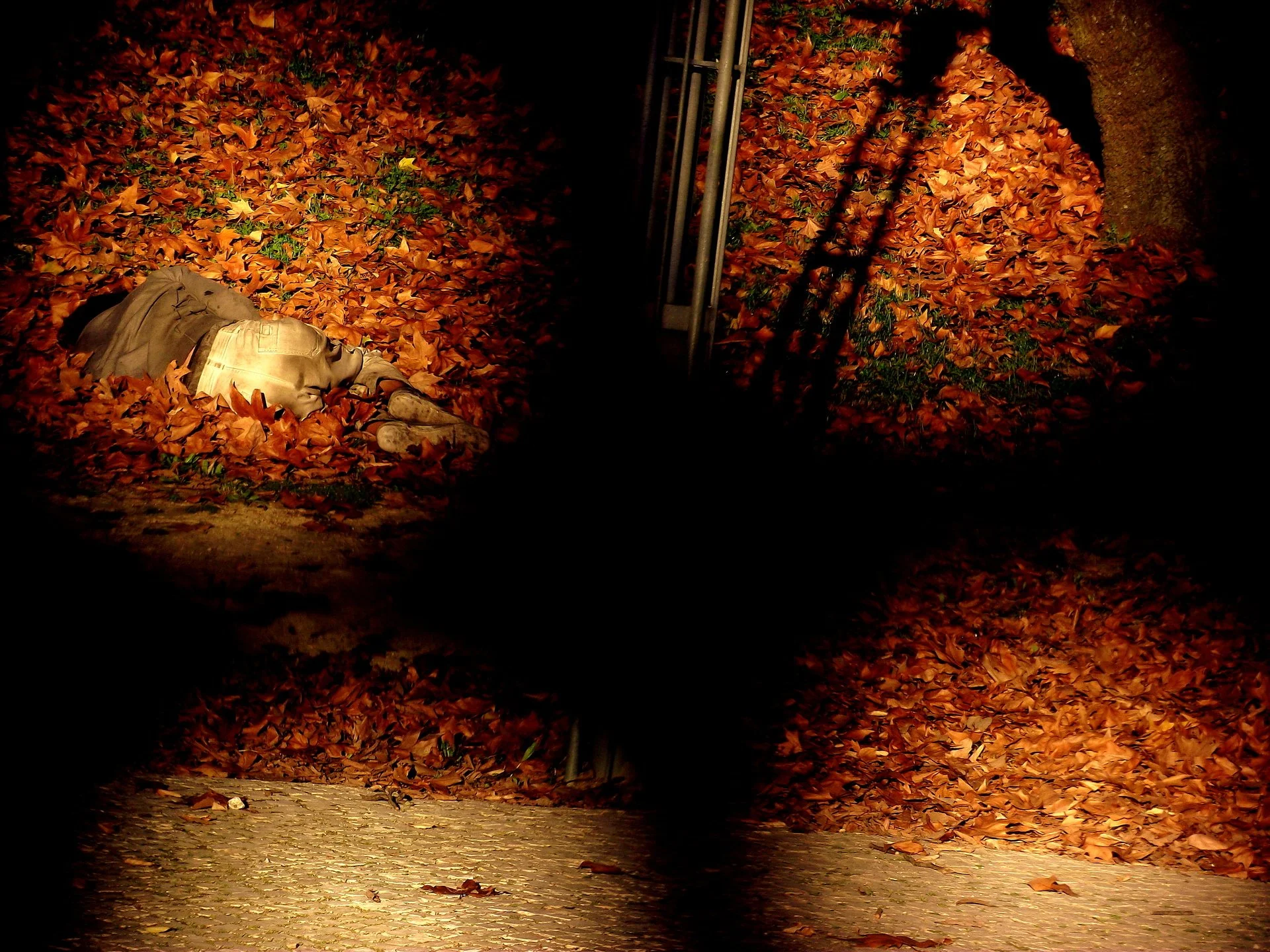 A person lying on the ground covered with autumn leaves, with a park or outdoor setting illuminated by artificial lighting at night.