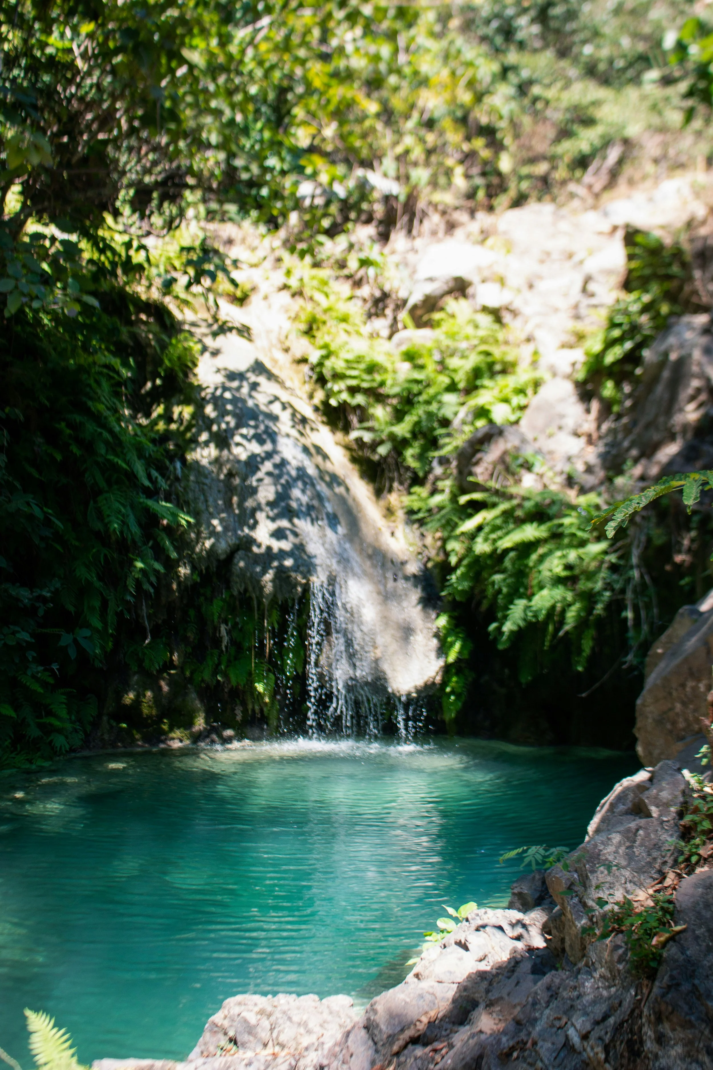 A small waterfall flowing into a turquoise pool surrounded by rocks and lush green foliage.