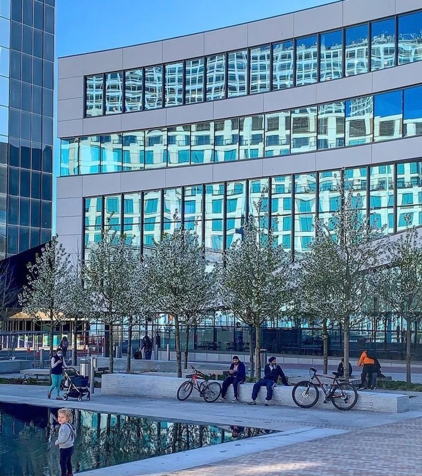 Modern, glass-walled building with steps leading up to the entrance. A manmade lake sits in front where a child is playing.