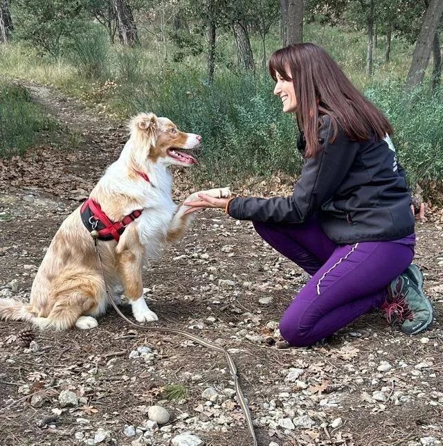 Une femme souriante à genoux dans la forêt, tendant la main à un chien de berger australien s  e9tant assis, tous deux semblant communiquer a0.