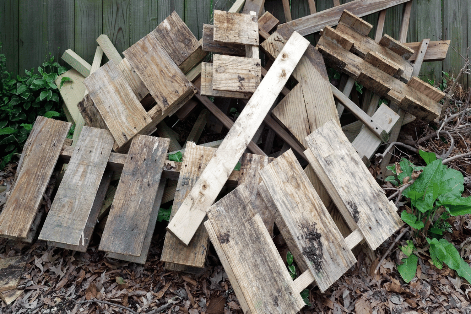 5 Simple Steps to a Junk-Free Yard in Atlanta