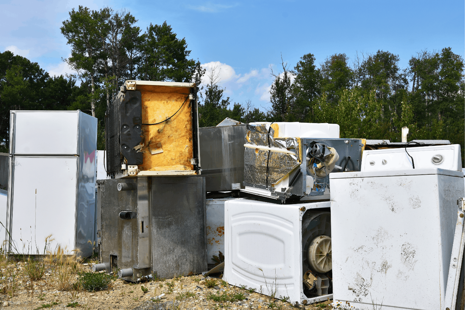 What Property Managers Should Know About Turnover Cleanouts