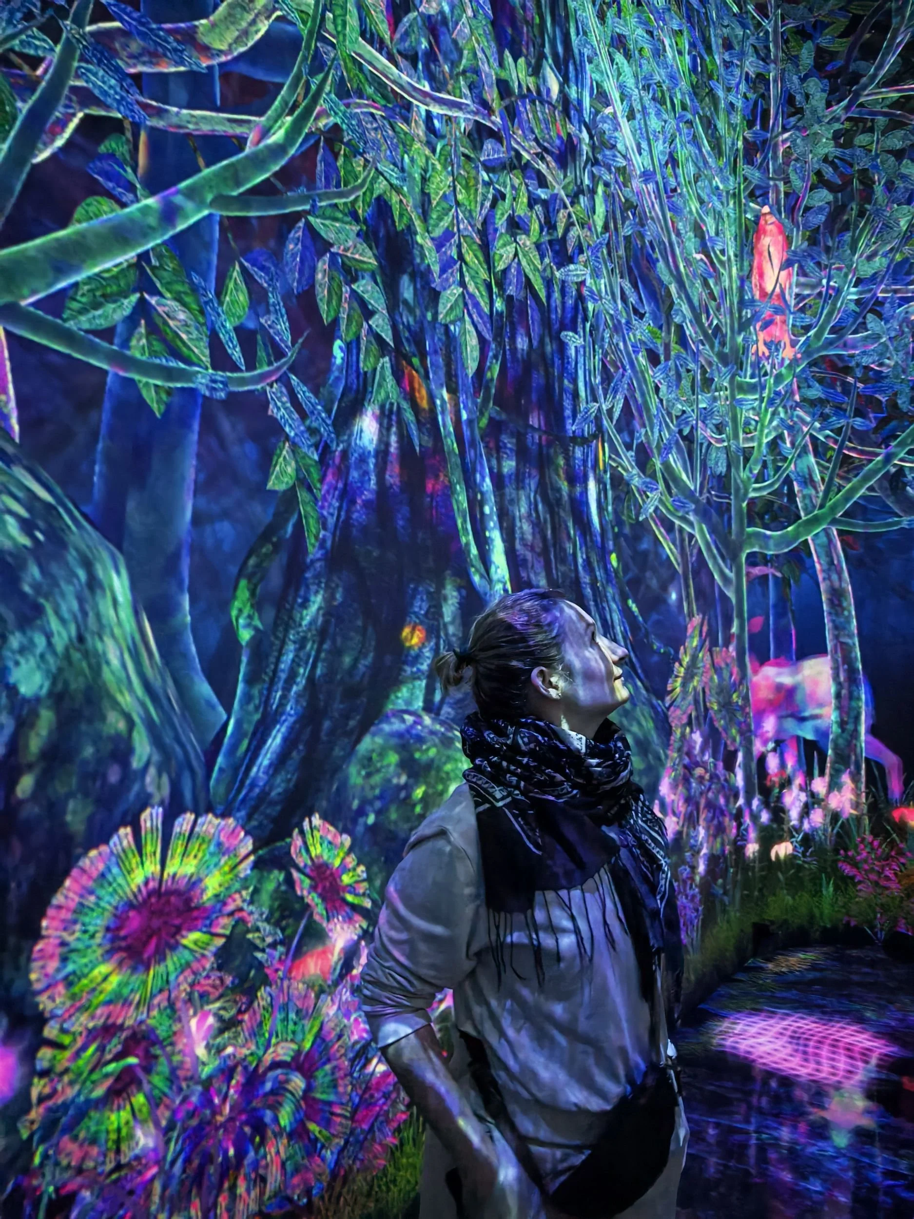 TeamLab Planets und Hamarikyu-Park