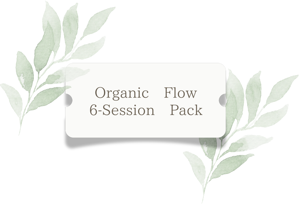 Green leaves surrounding a white label reading 'Organic Flow 6-Session Pack' in gray text.