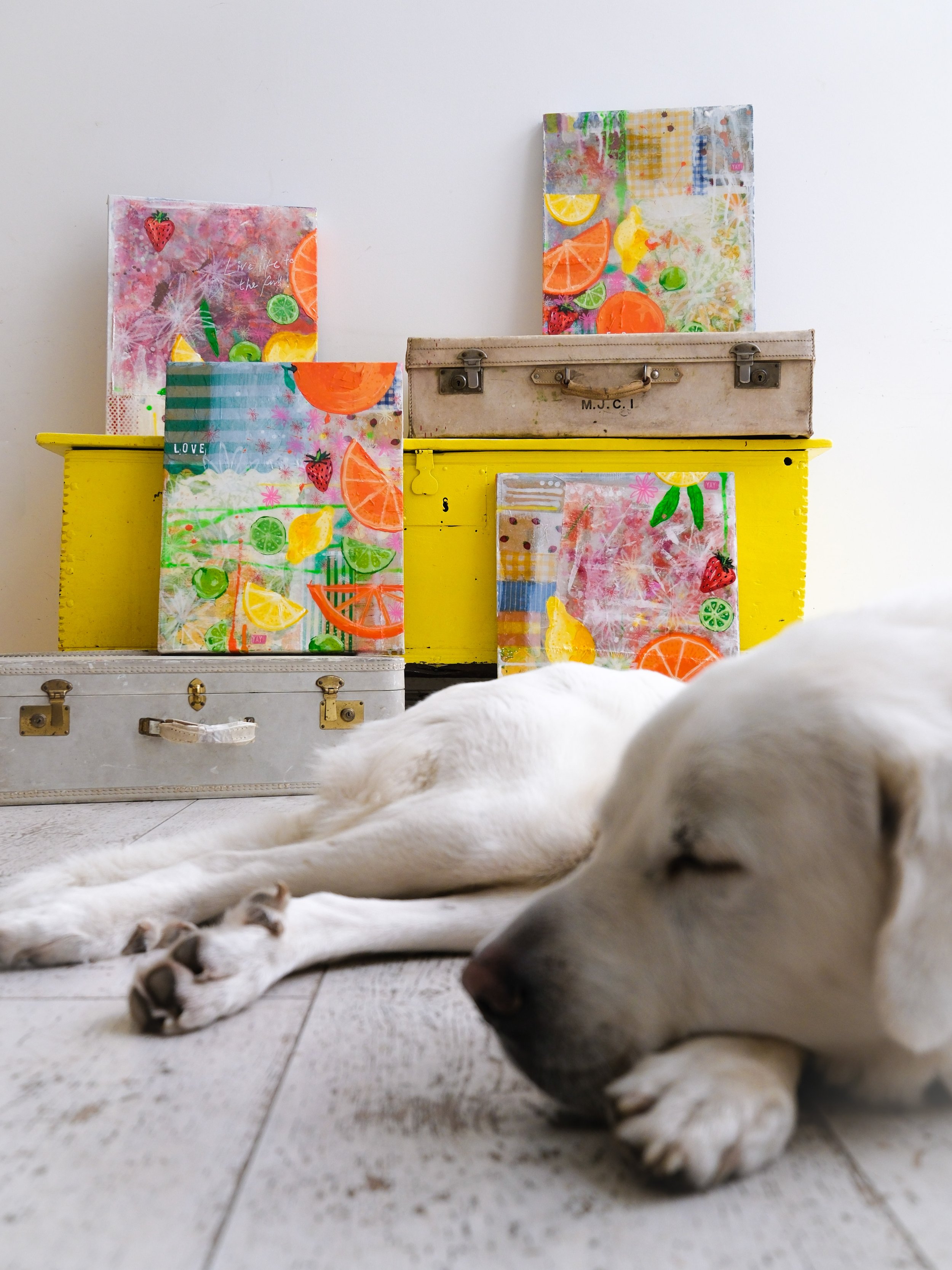 6 Fruit Series_-2.jpg