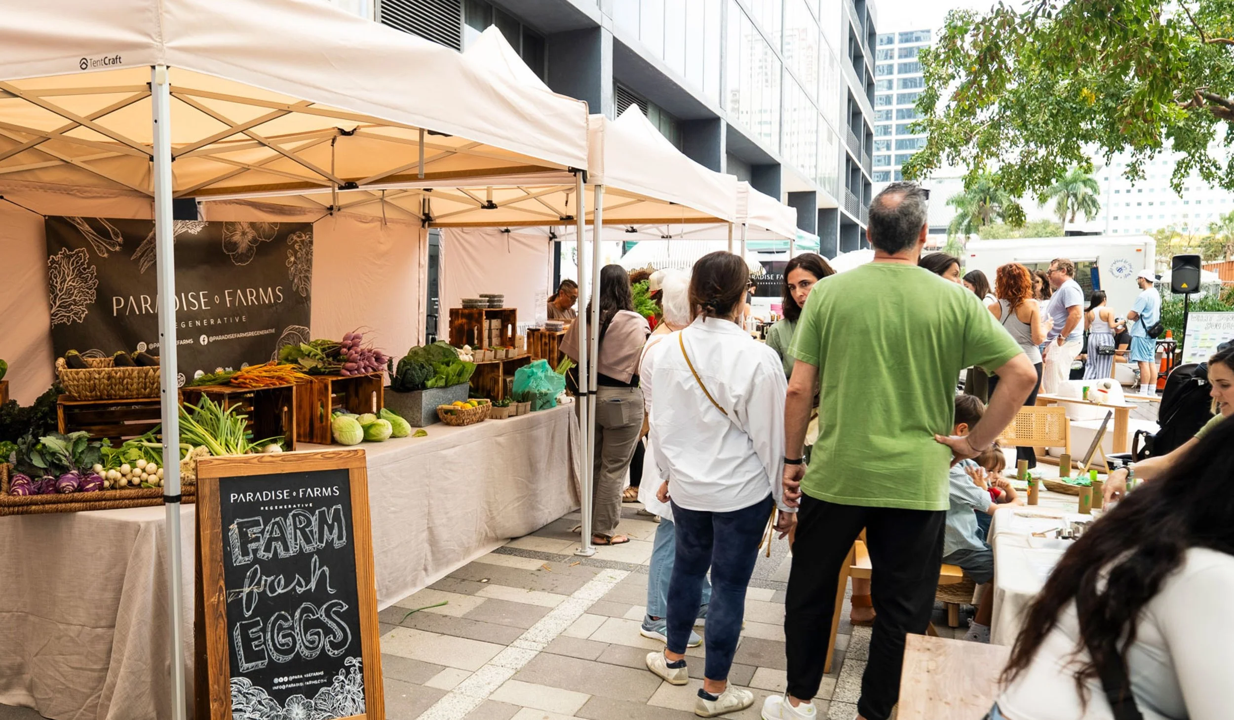 FM_miami_188b5c3301 (1).jpeg