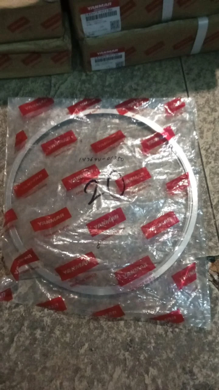 10. Gasket Cyl Head T 1.0 147644-01350 (8 Pcs).jpeg
