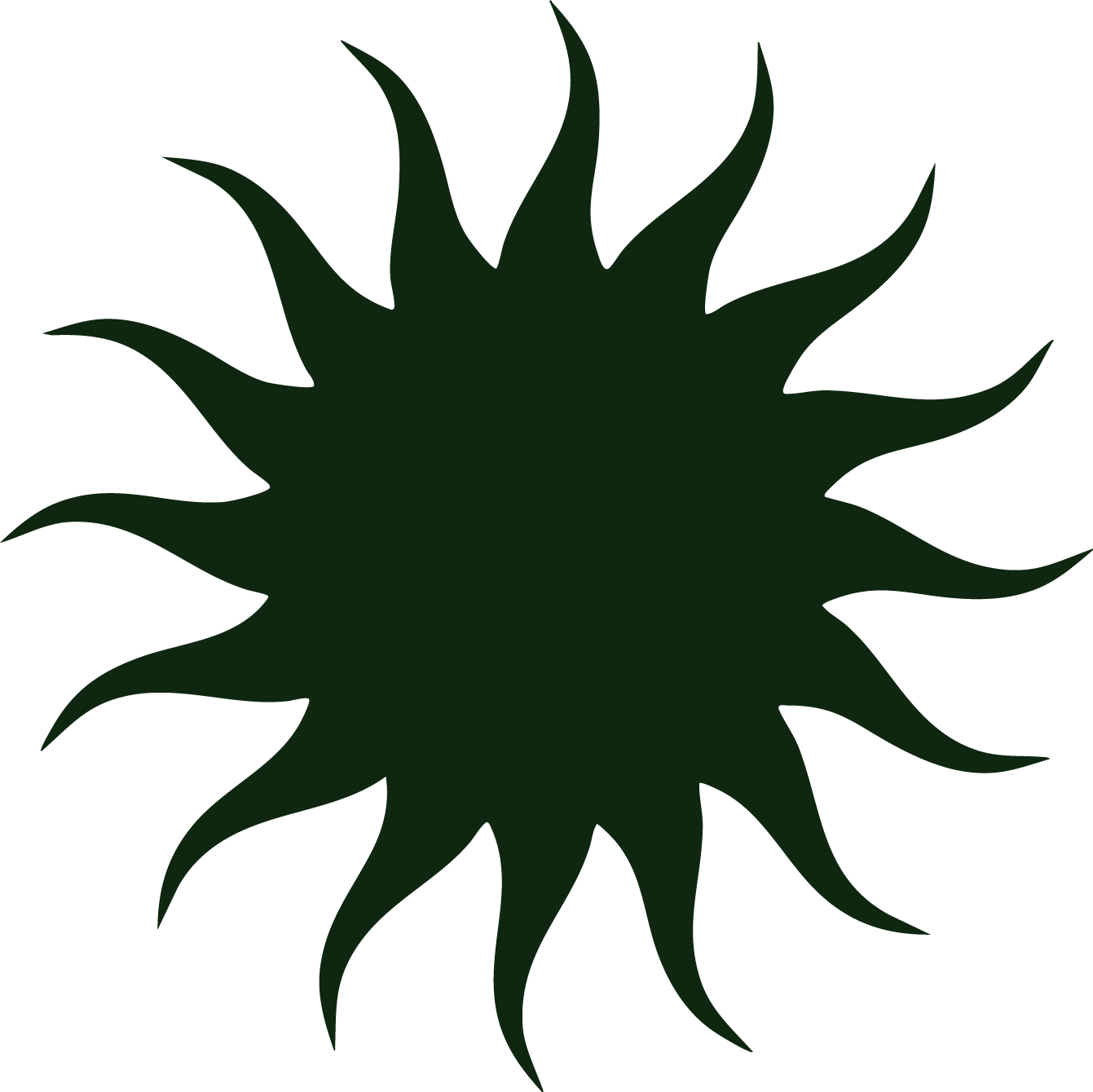 Silhouette of a green sea urchin with spines extended.