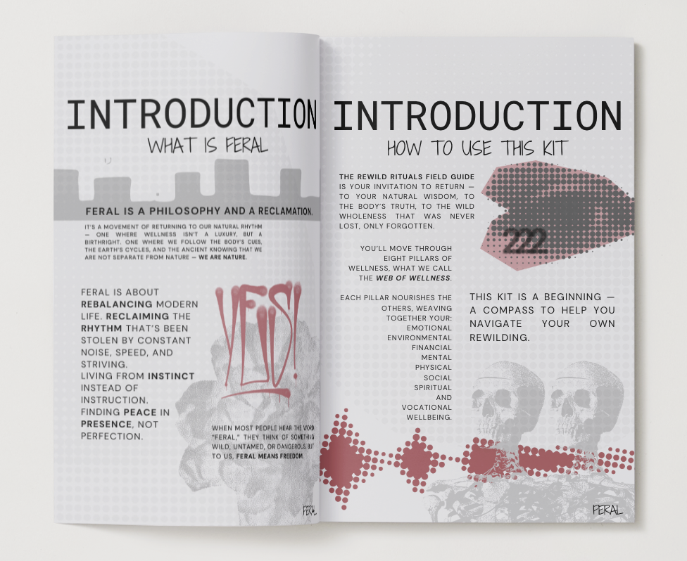 Screenshot 2026-01-10 at 4.19.24 PM.png