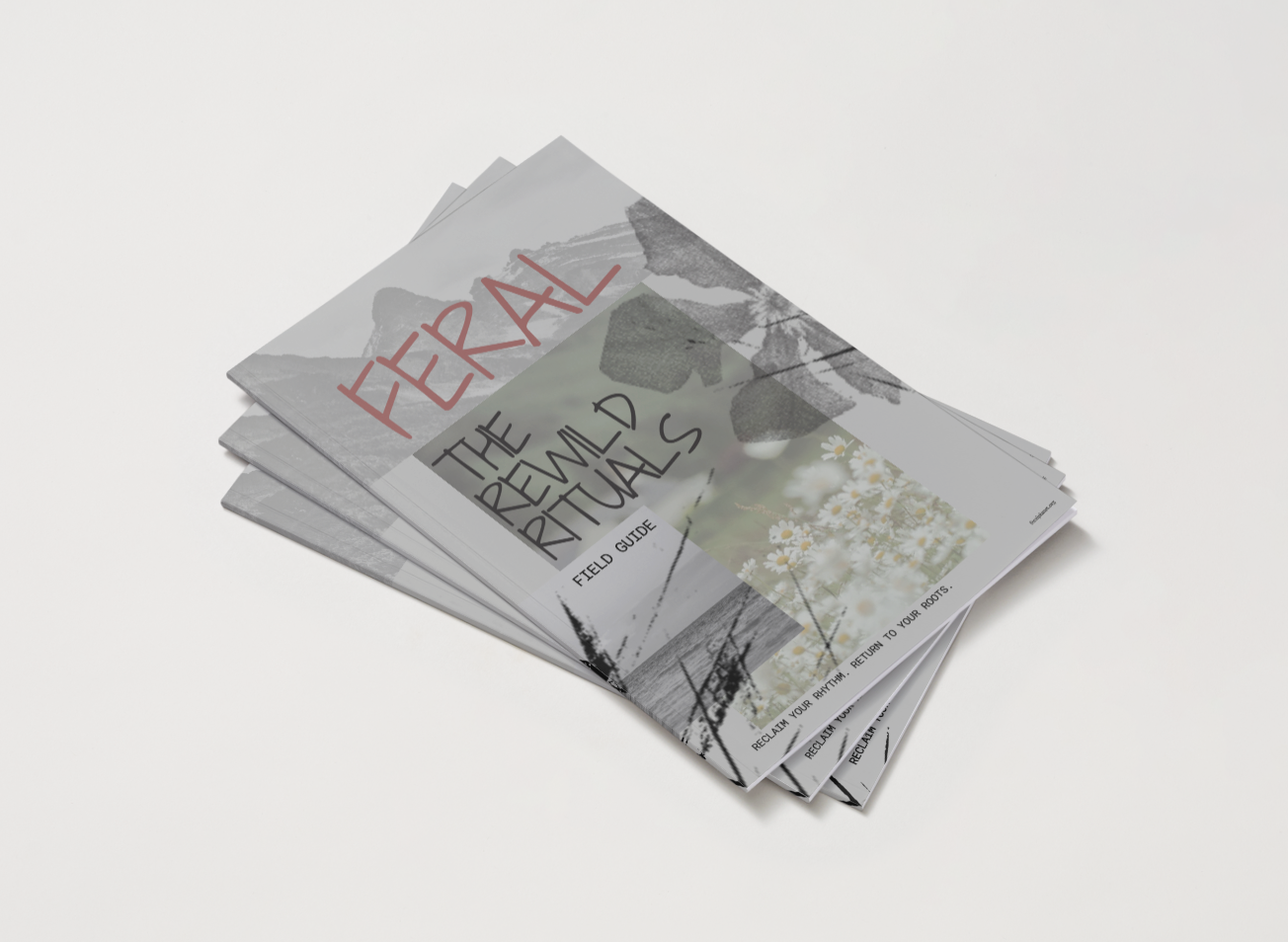 Screenshot 2026-01-10 at 4.19.43 PM.png