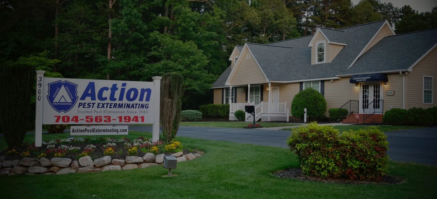 Action Pest Exterminating | Protect Your Home Today