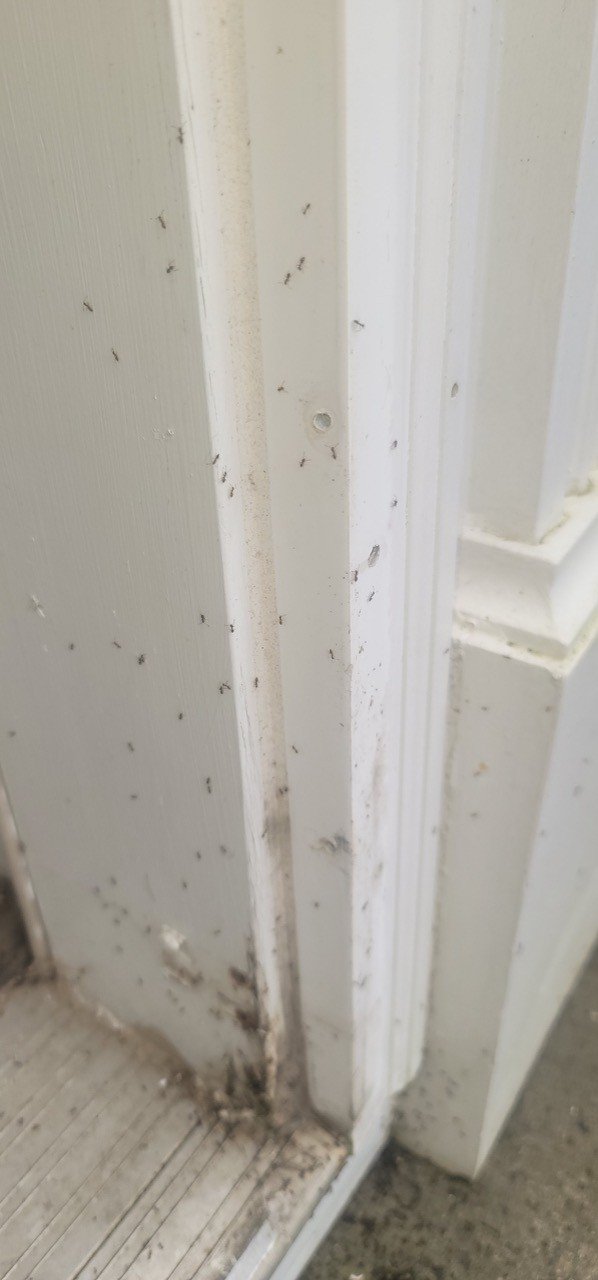Close-up of a door frame showing dirt, dust, and black marks, with some damage near the bottom.