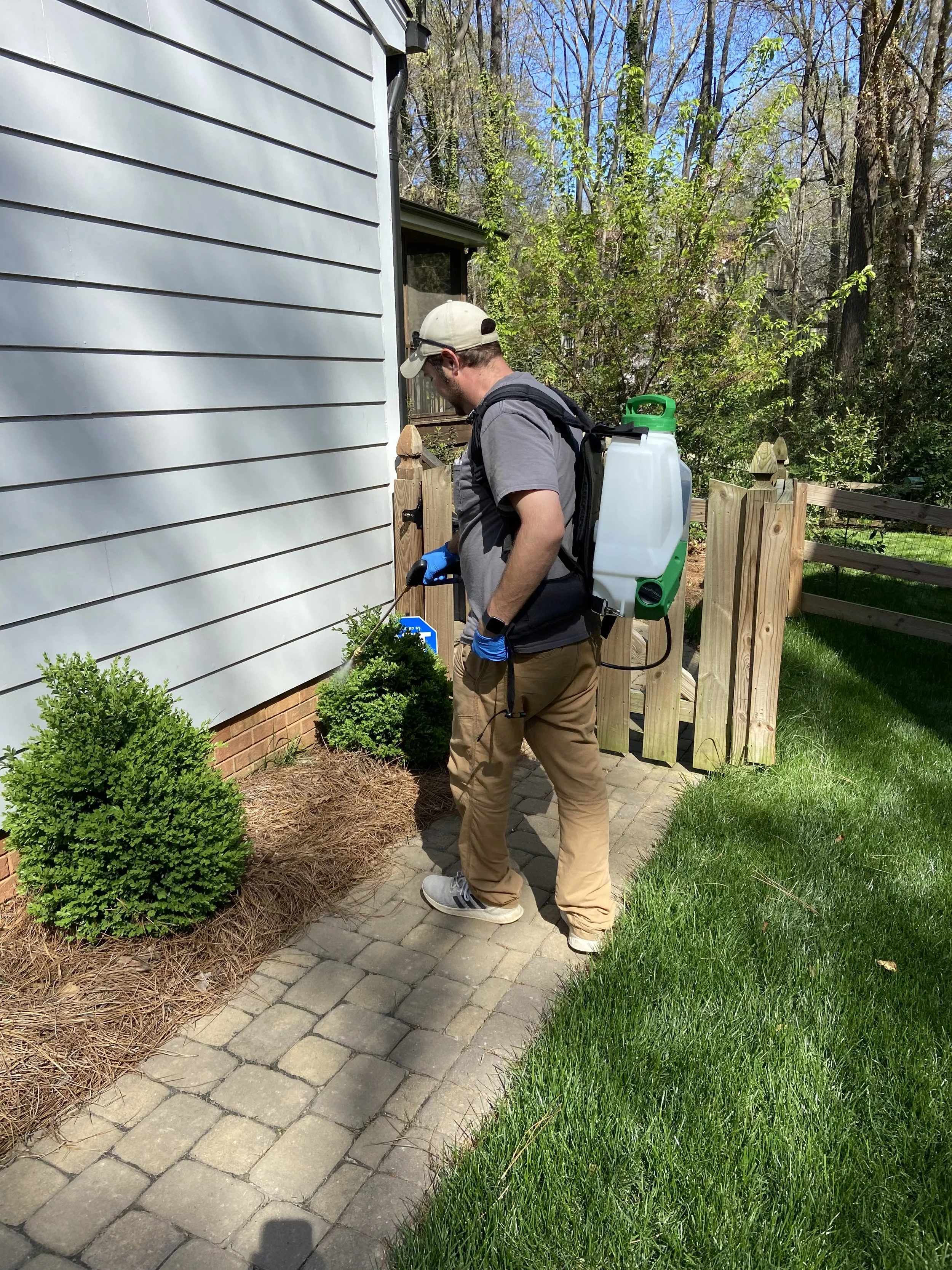 A man in a gray shirt, khaki pants, and a beige cap sprays plants near a house with blue siding and brick foundation, using a backpack sprayer outside on a paved walkway.
