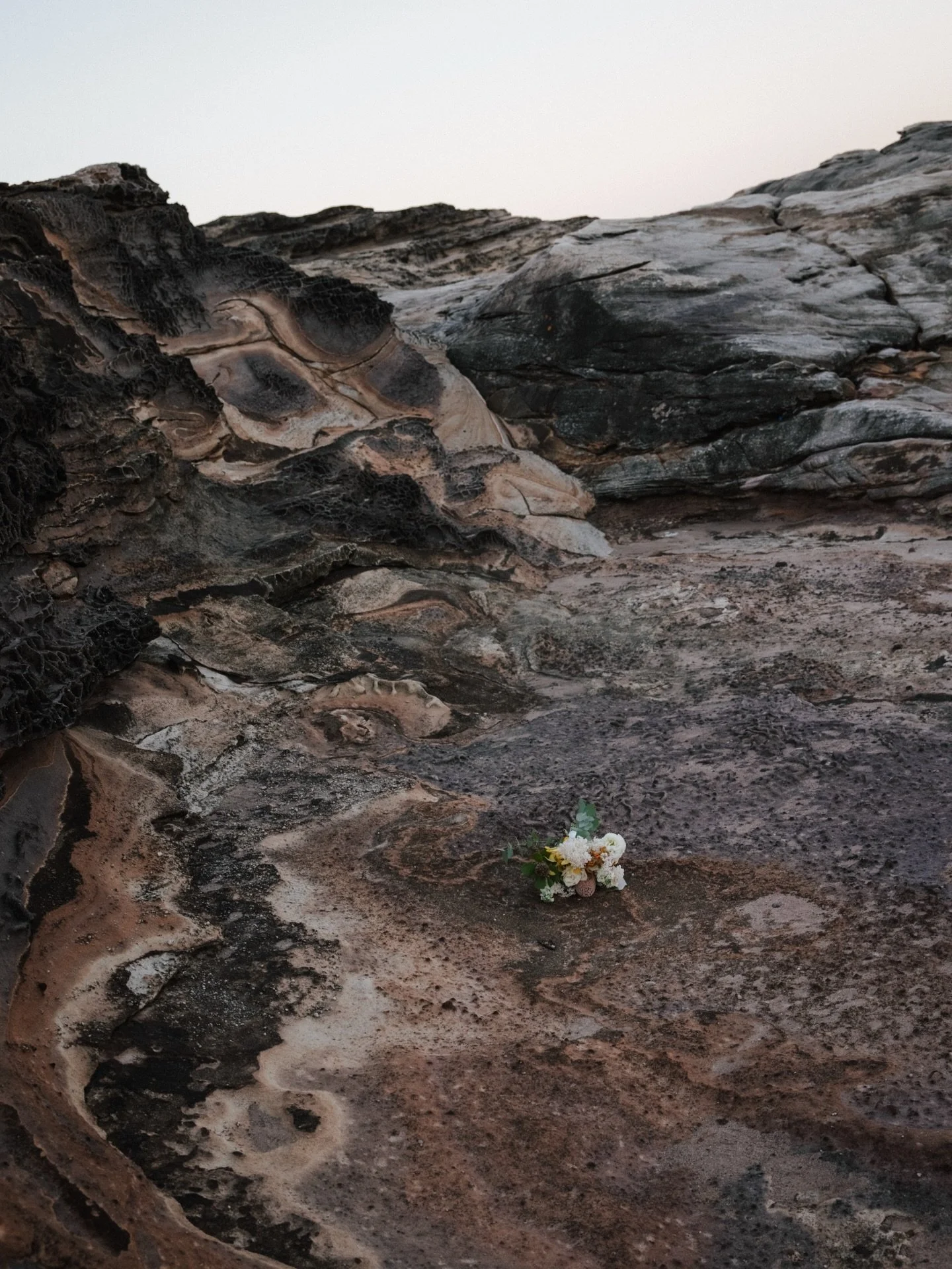 Flowers meet the raw beauty of Sydney&rsquo;s coast.
