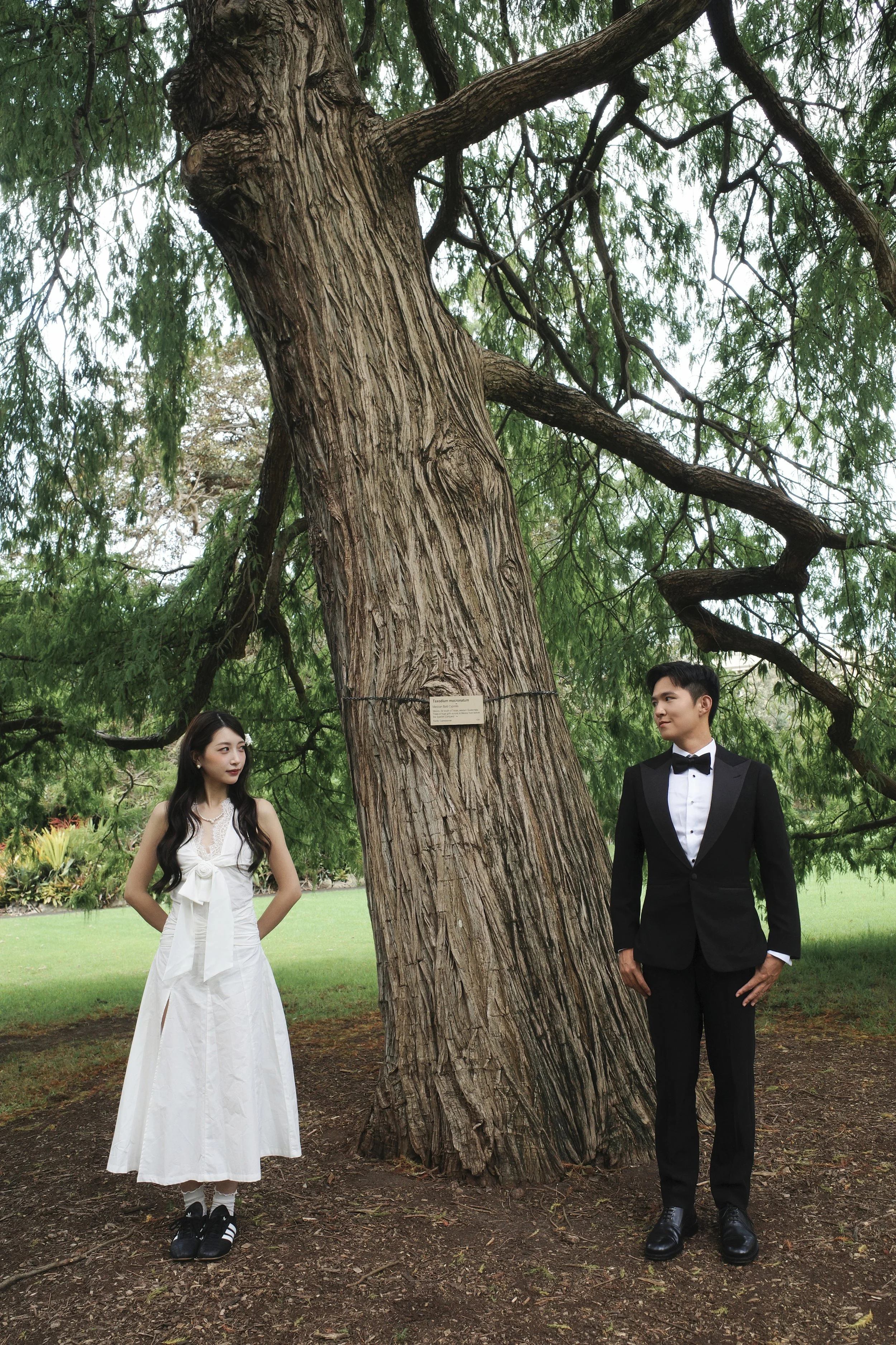 TwoInOne_SydneyPreweddingPhotographer_悉尼婚纱摄影_悉尼婚纱照_FeifeiCityWalk_17.jpg