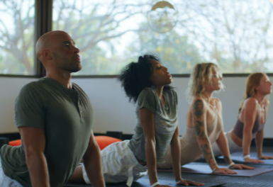 Four people in yoga poses practicing cobra pose in a yoga studio with large windows and trees outside.