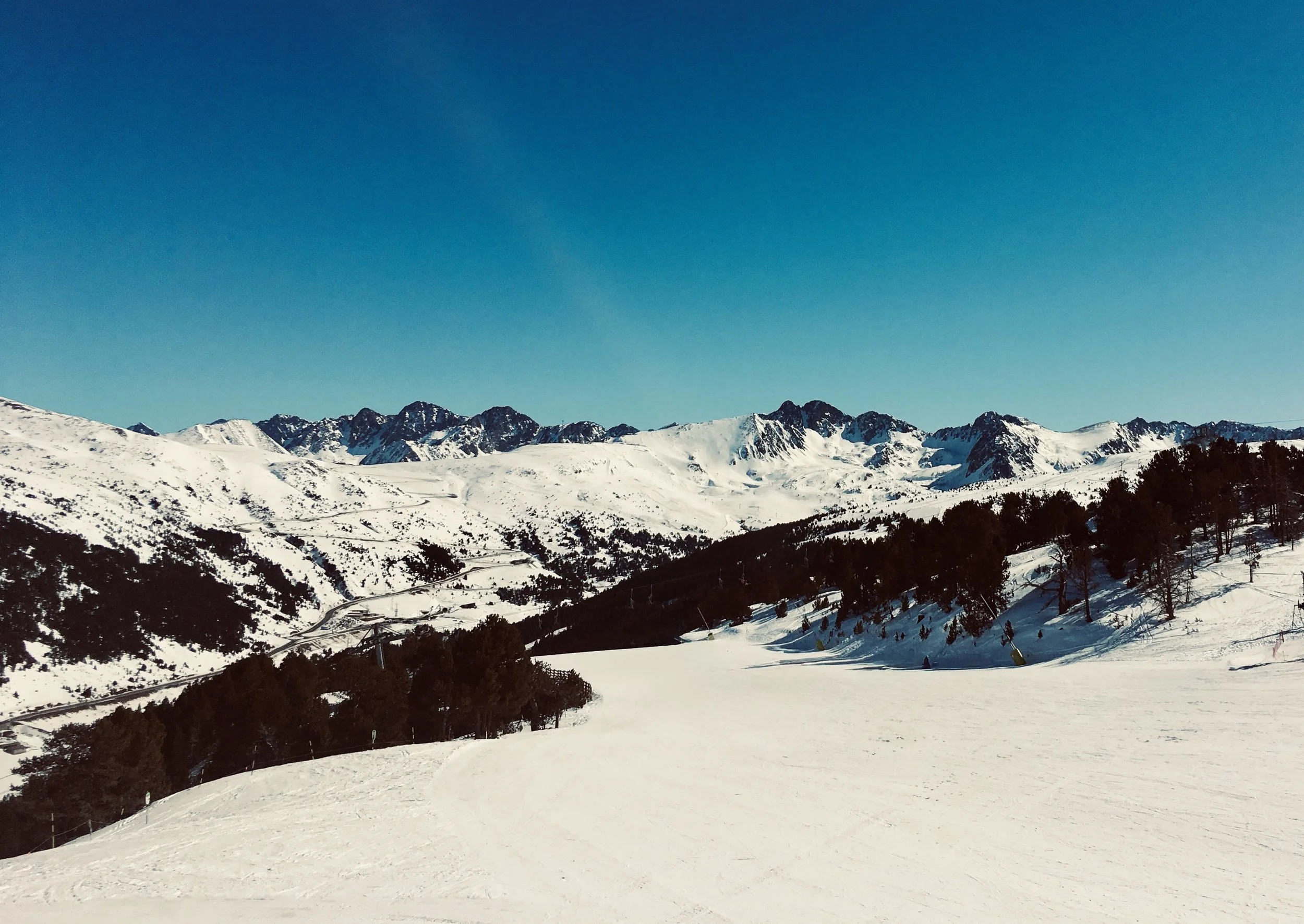 IMG_3016.jpeg