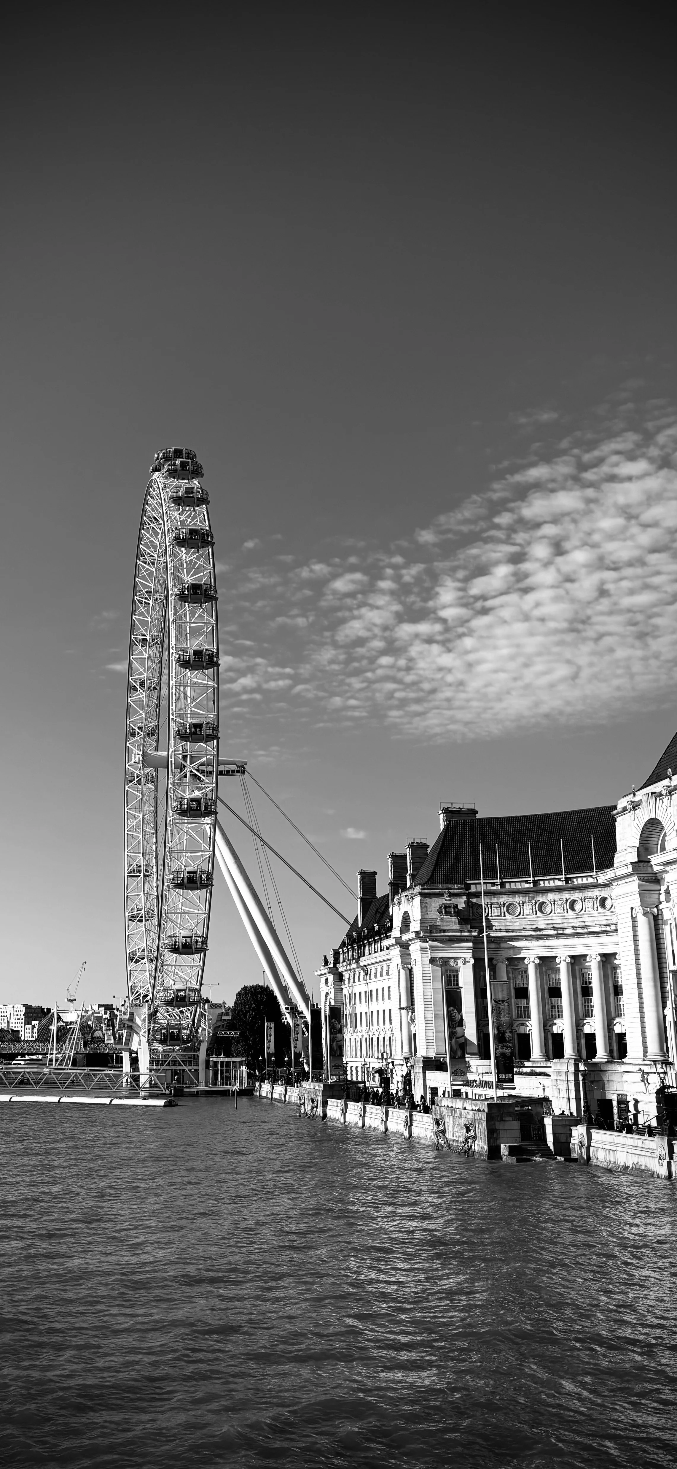 IMG_5187.jpeg