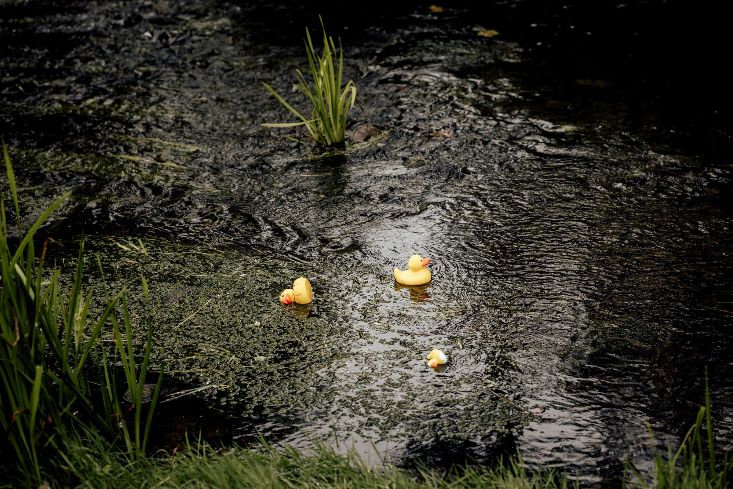 Gisburne-park-estate-wedding-photograph-2042.jpg