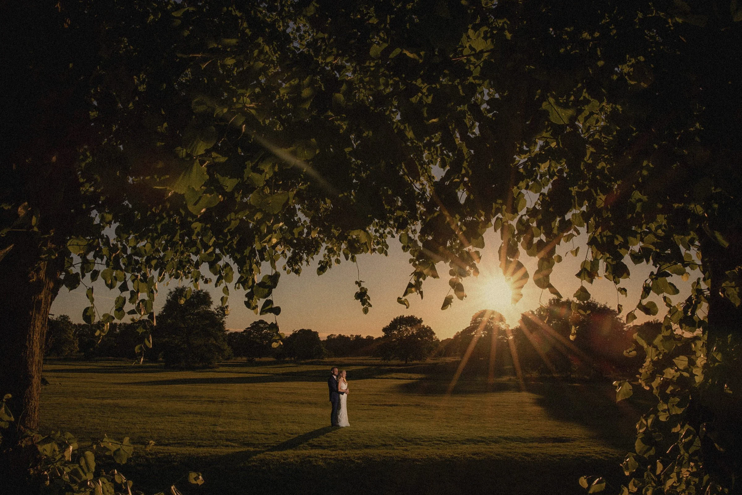A couple in wedding attire standing on a grassy field during sunset, framed by a large leafy tree in the foreground.