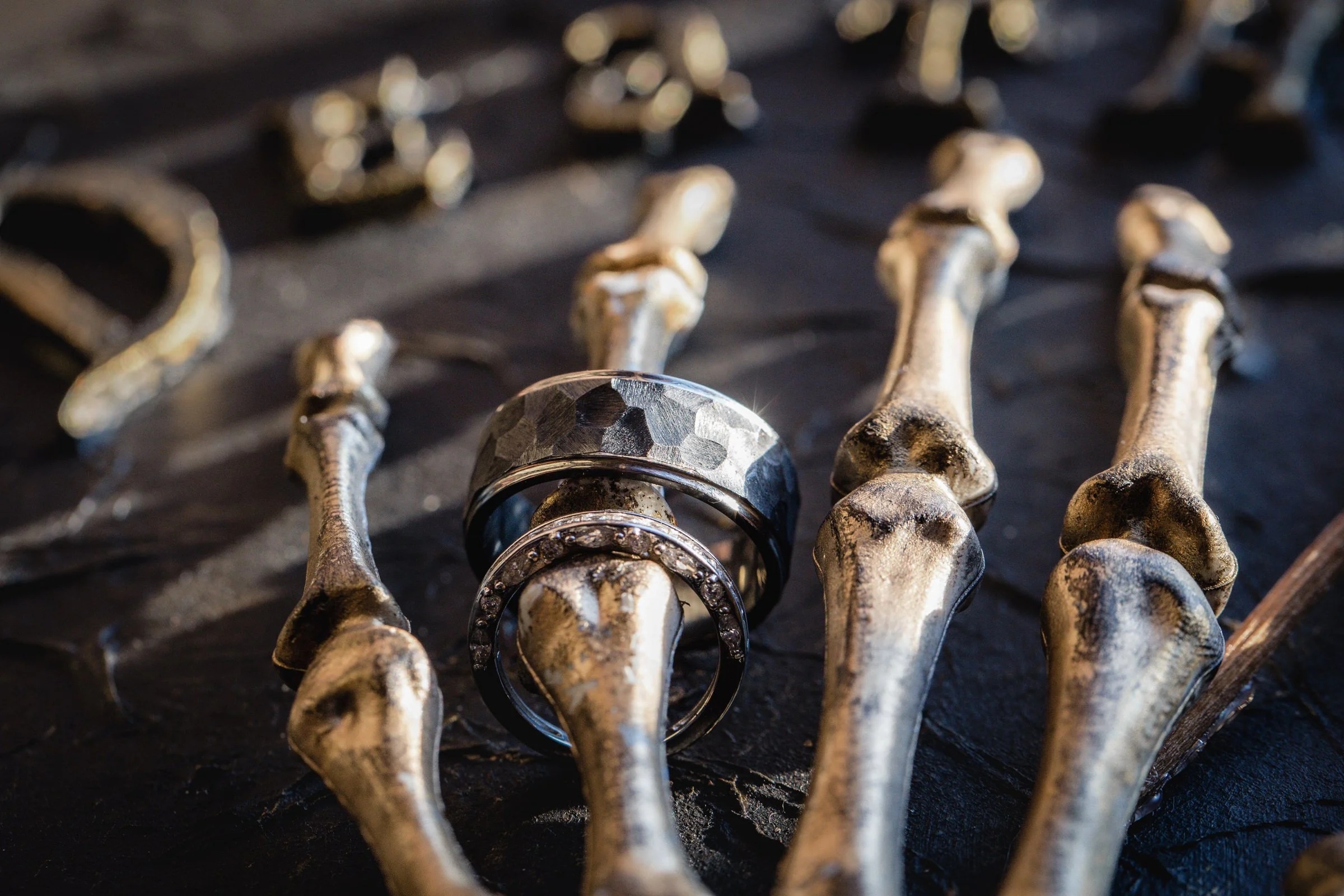 Two rings resting on a row of animal bones, one large and hammered, the other smaller and adorned with small stones.