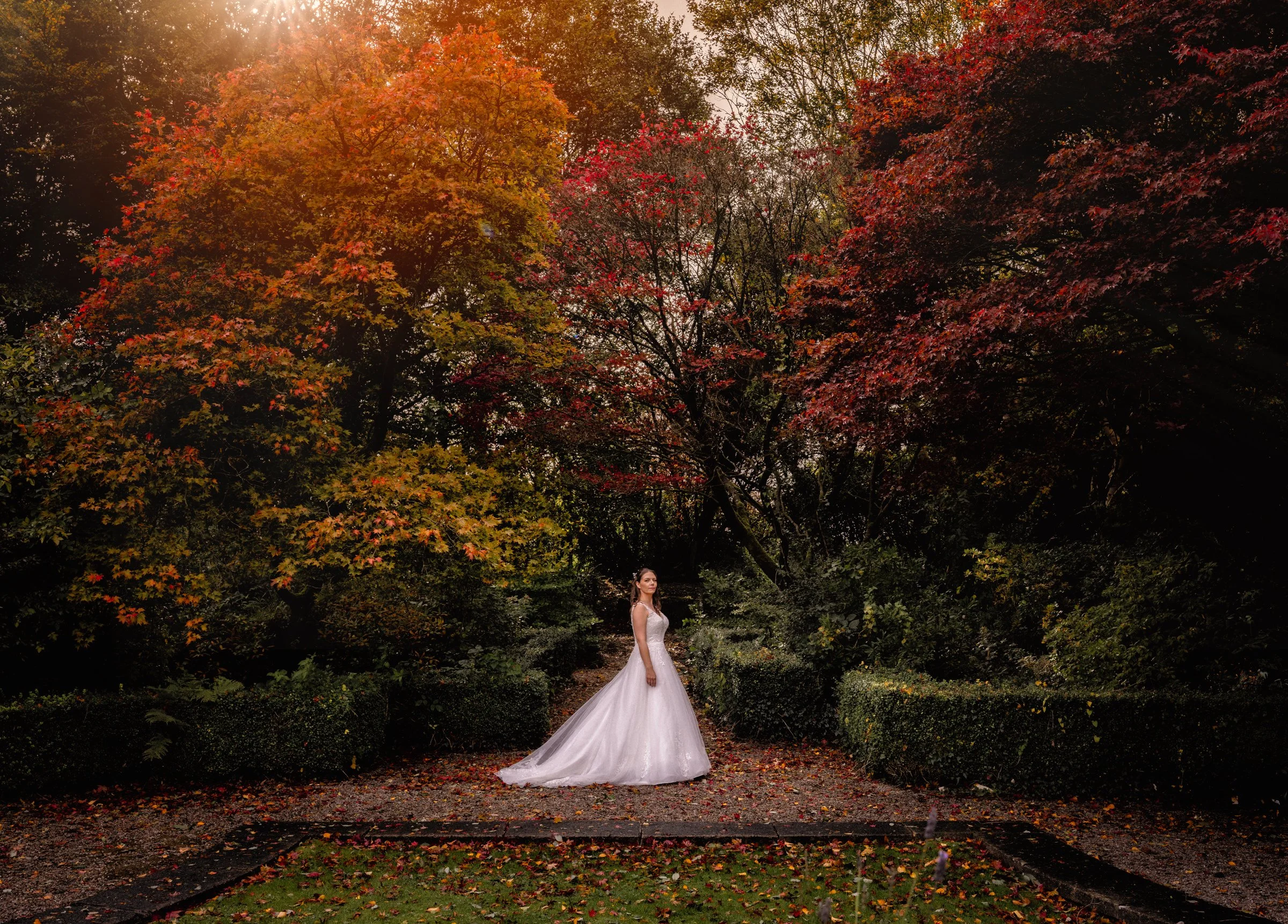 Bride in white wedding dress standing central in an Autumn garden of hedges, lawn, path, bushes  and trees with the sun shining through the leaves