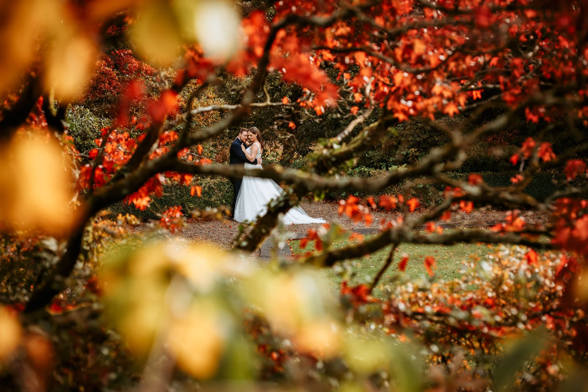A bride and groom standing close together in a park with fall foliage, framed by orange and yellow leaves on tree branches.