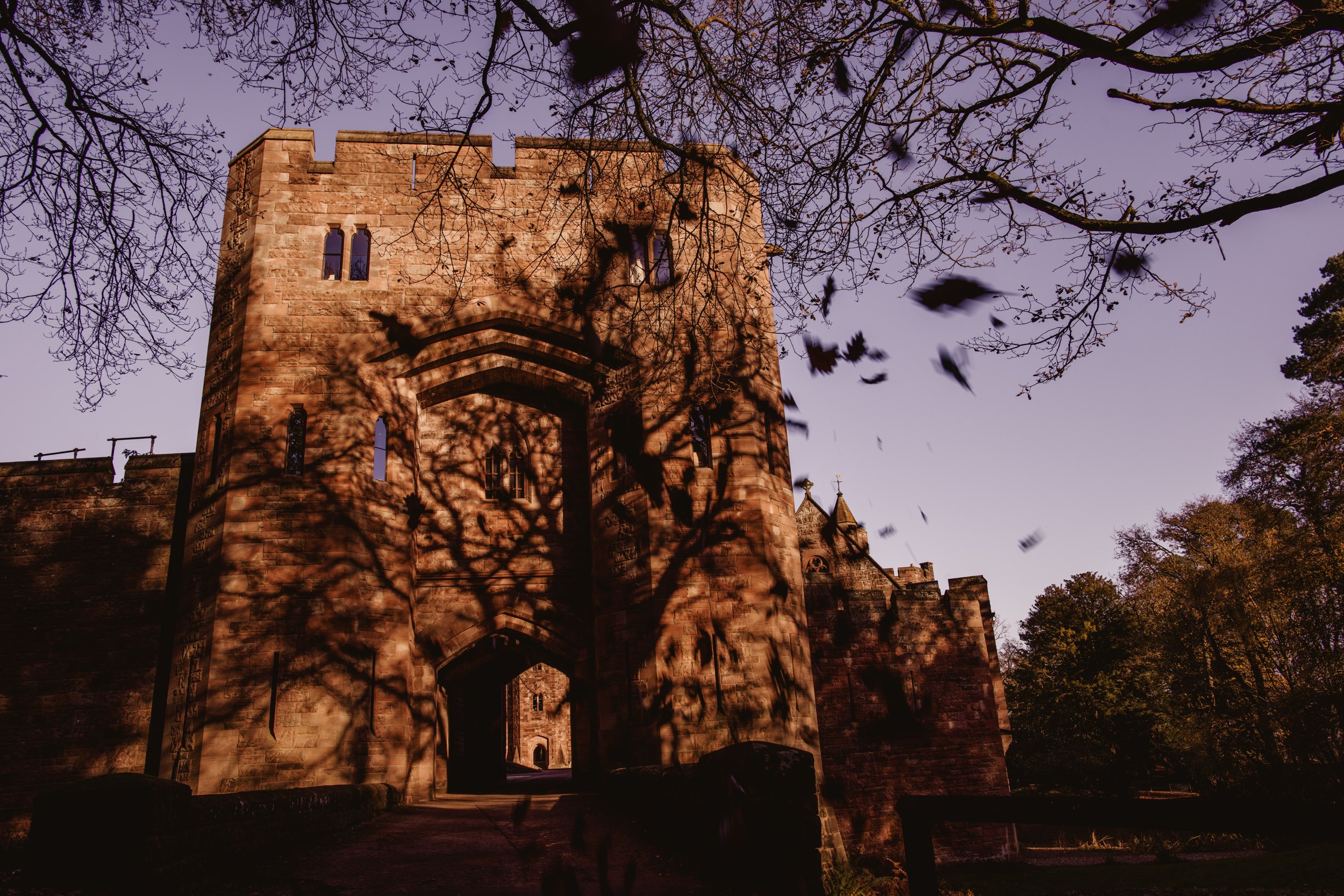 A castle with stone walls and towers, shadowed by leafless trees against a twilight sky.