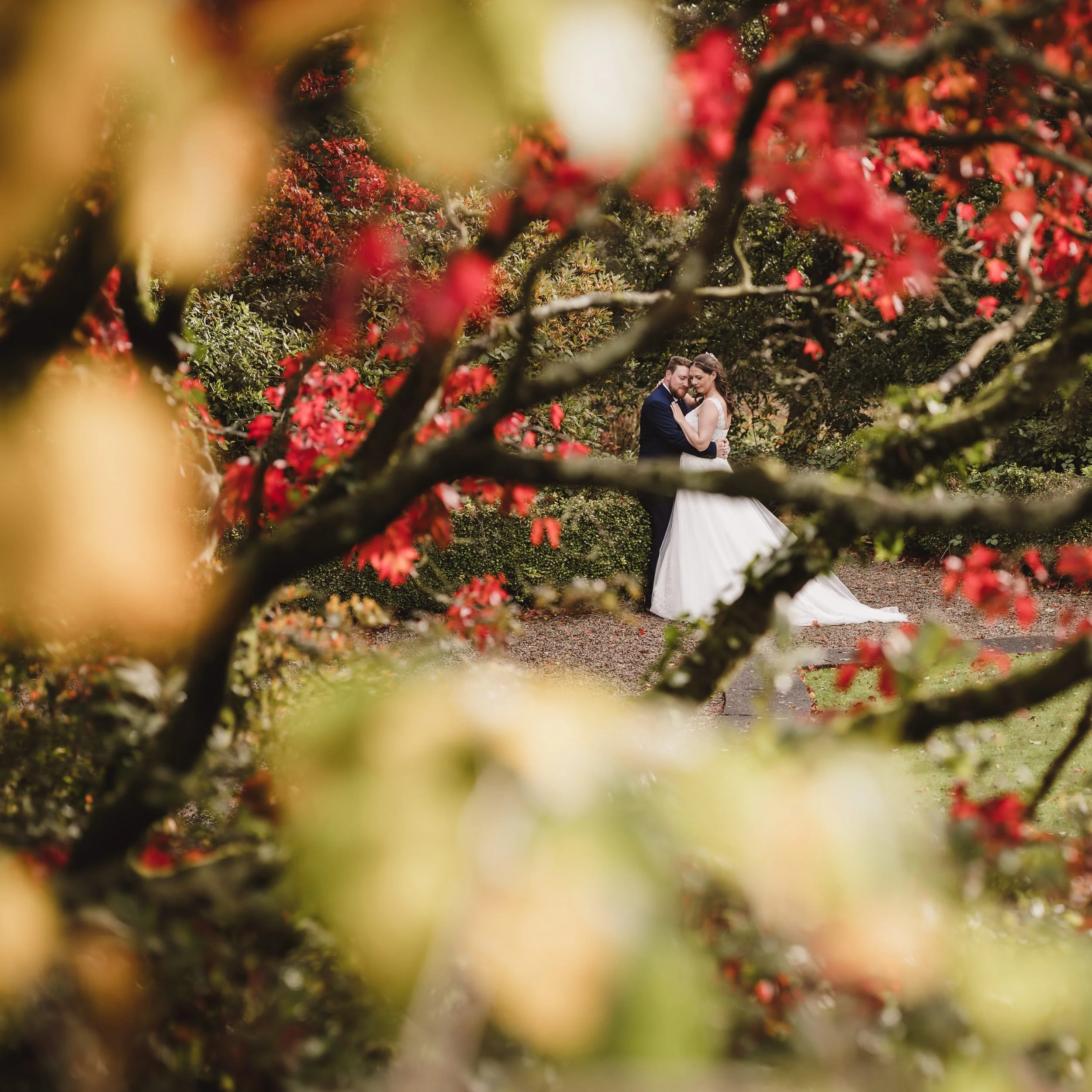 A bride and groom standing close together amidst nature, framed by branches with red and yellow leaves, during their wedding photoshoot.