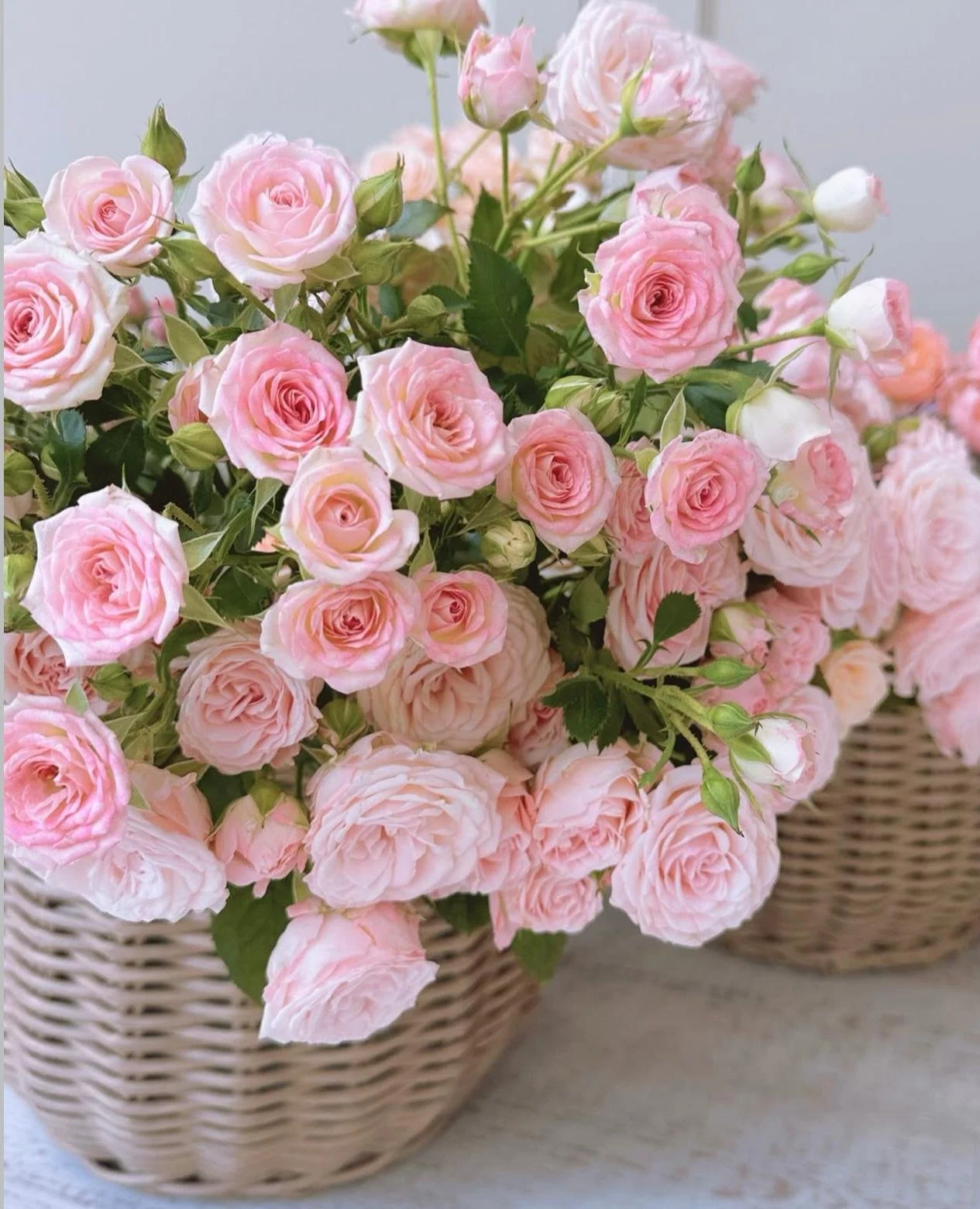 Pink roses in a wicker basket.