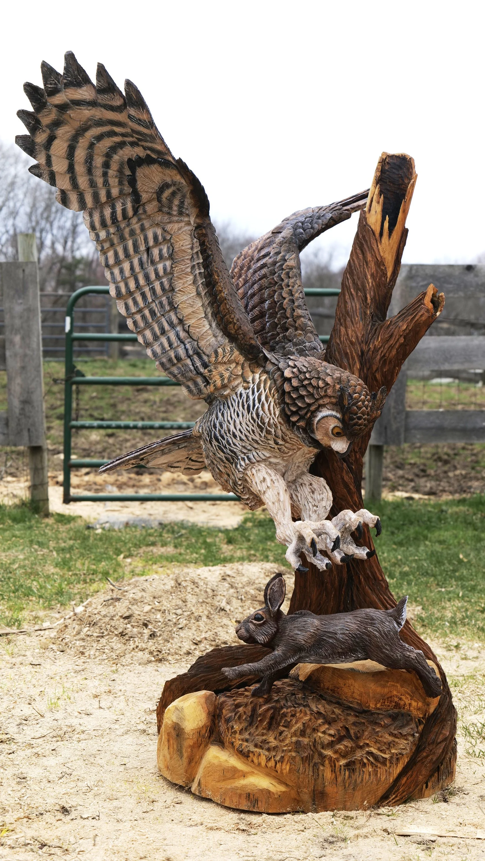 owl catching rabit.jpg