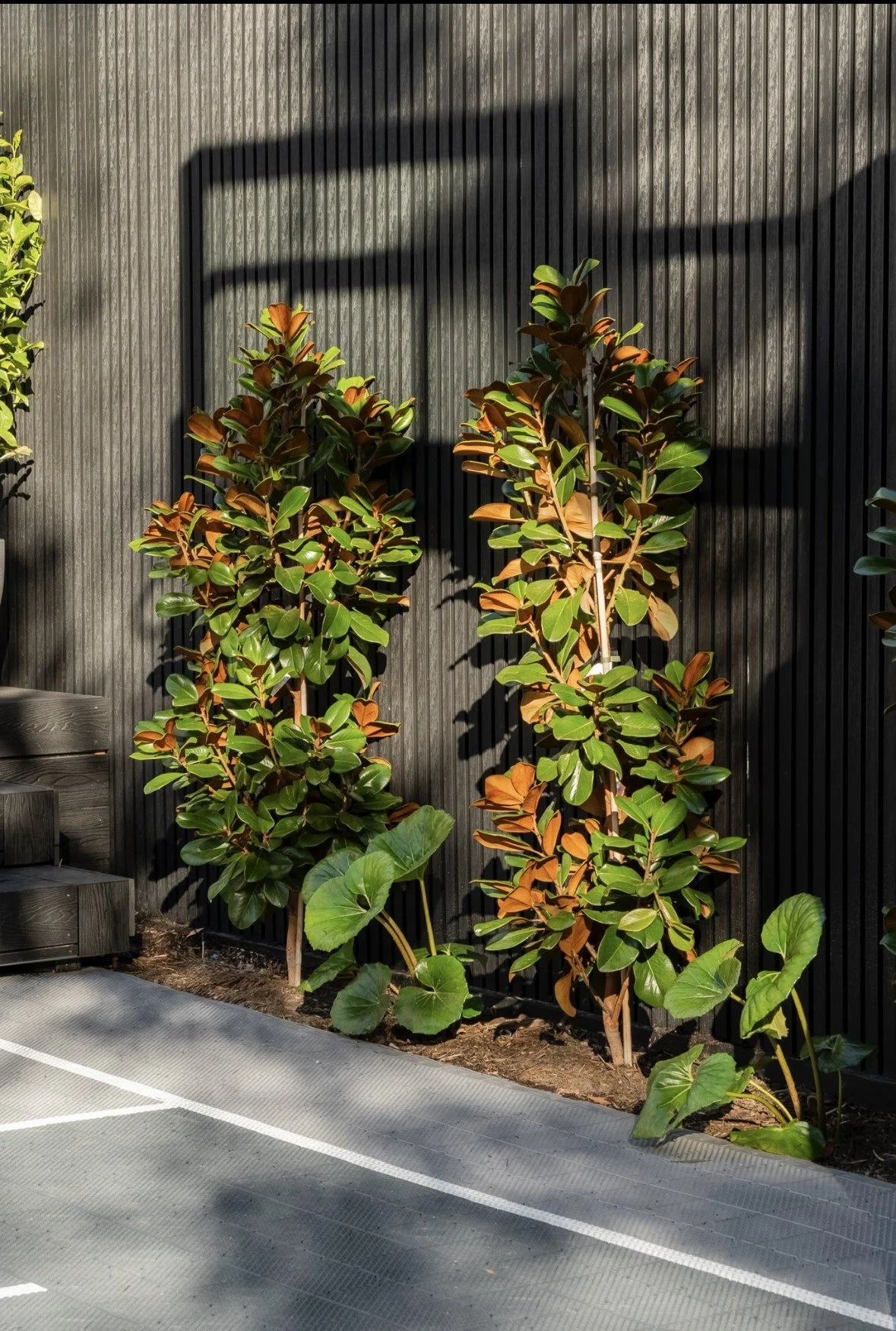 Landscape Construction South East Melbourne (5).jpeg