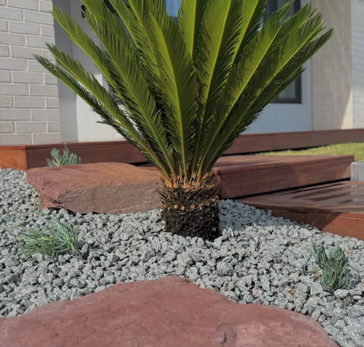 Landscape Construction South East Melbourne (8).jpeg