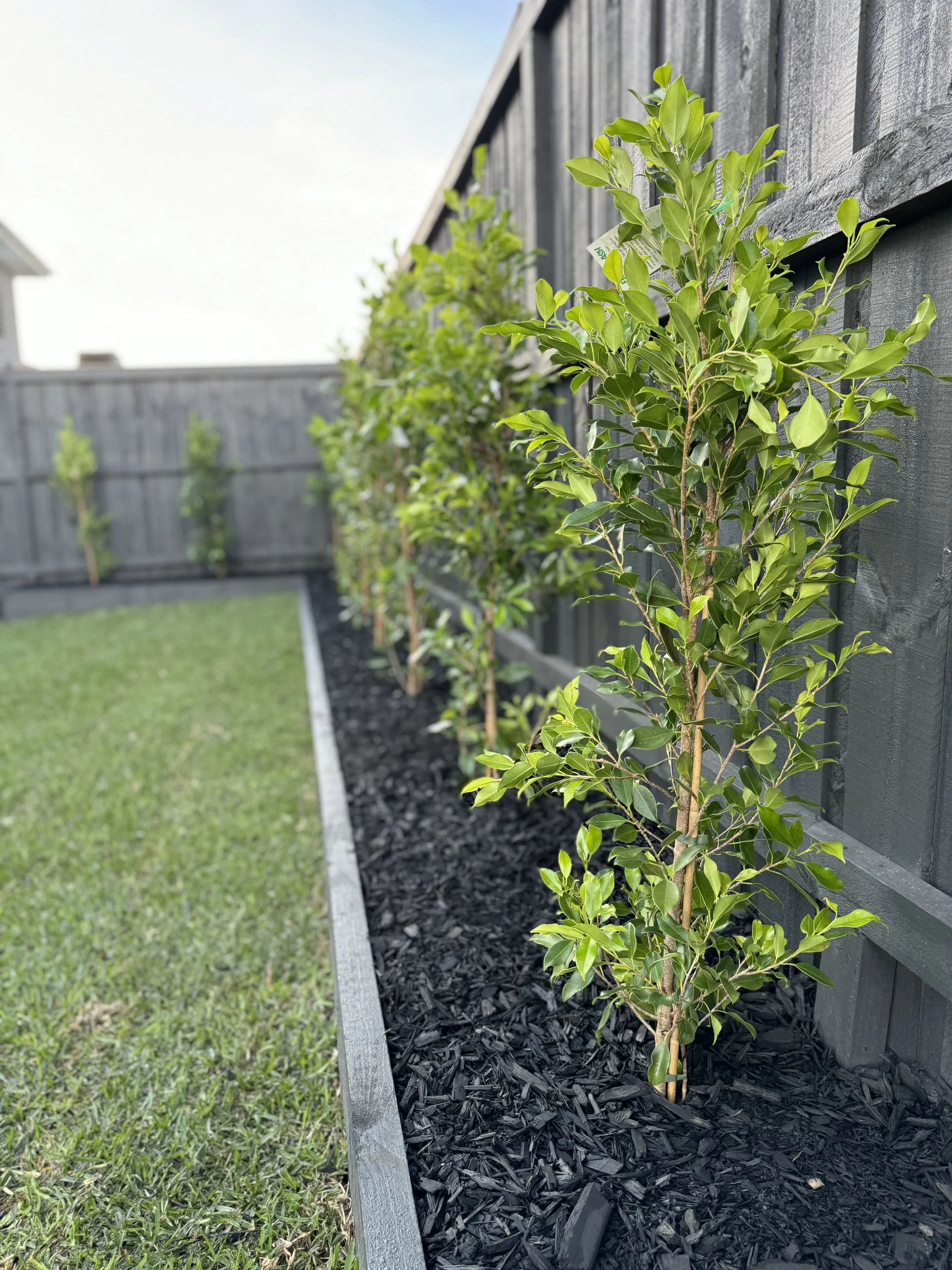 premium landscape construction melbourne (3).jpeg