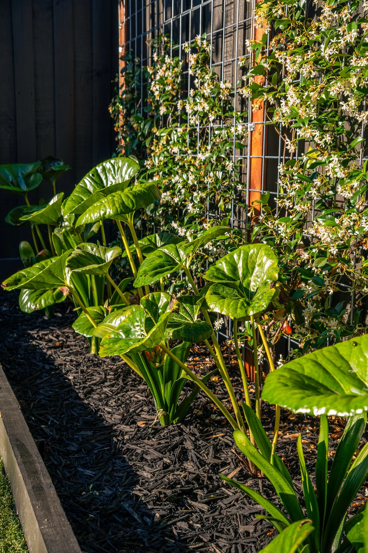 premium landscape construction melbourne (5).jpg