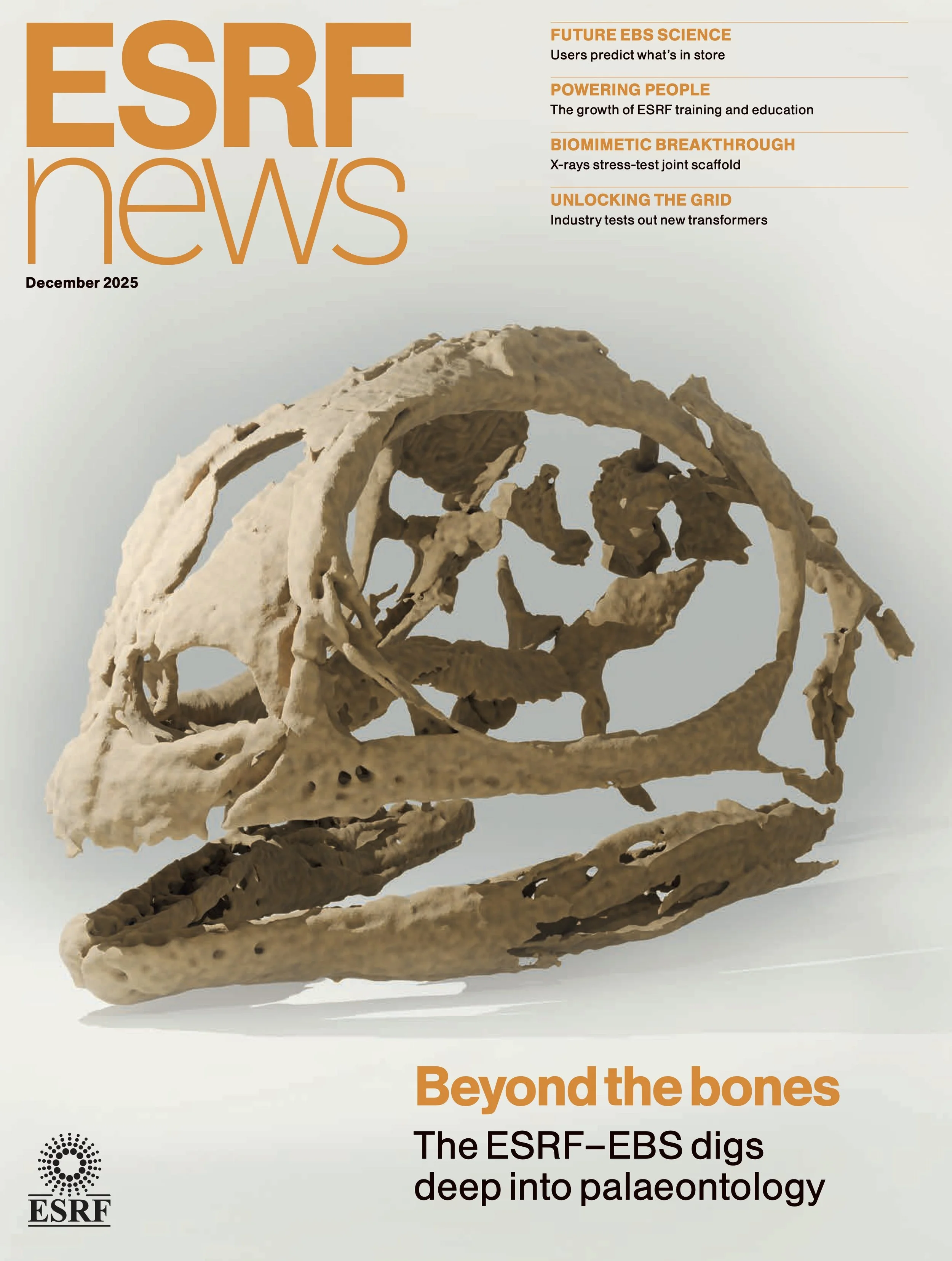 ESRFnews - palaeontology issue
