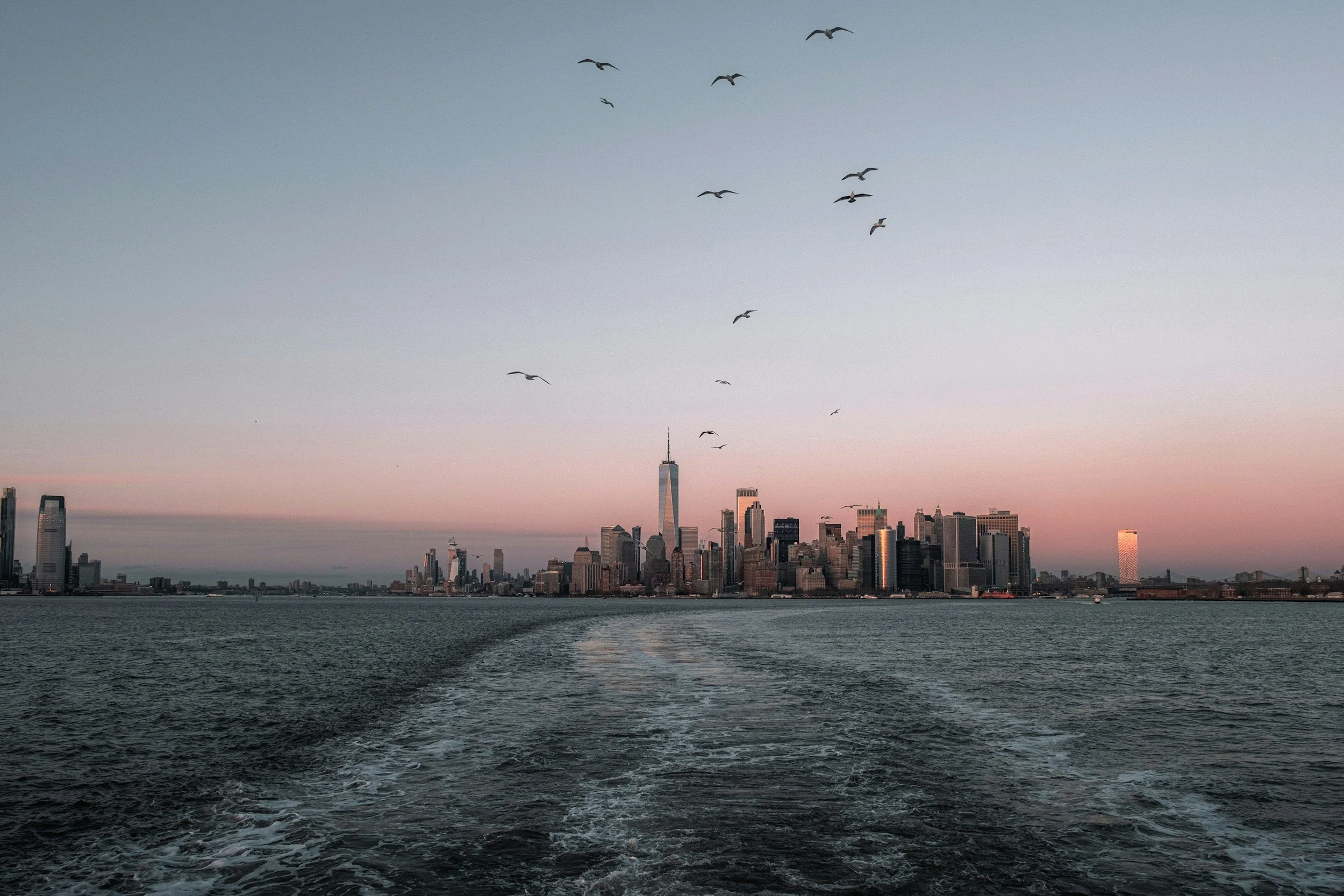 View of the New York City skyline at dusk seen from the water with seagulls flying overhead.
