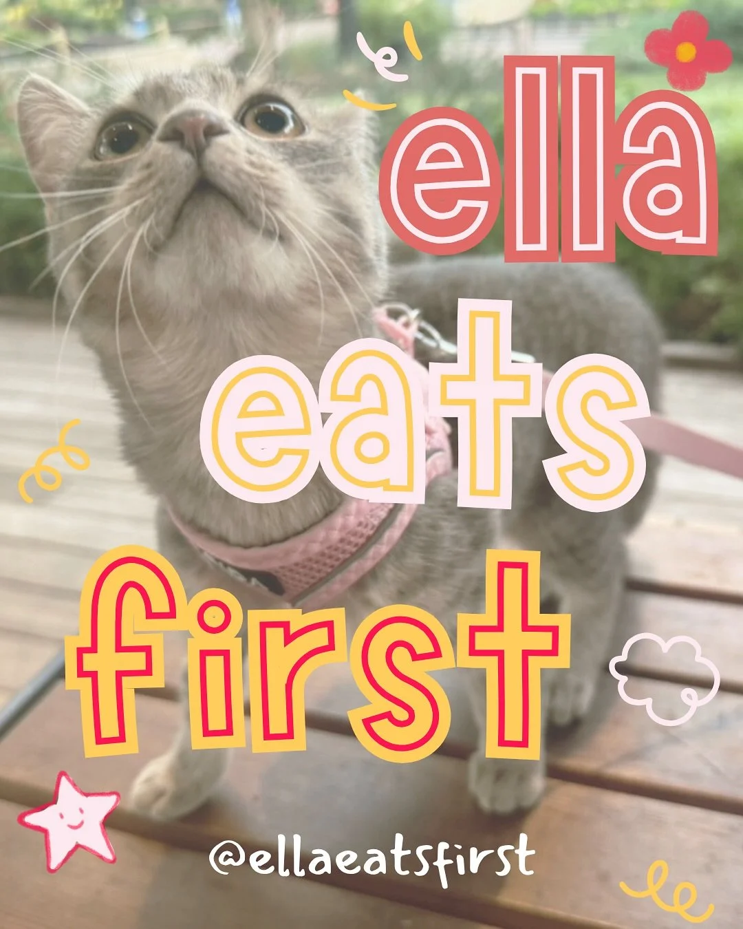 Hey! My name is Ella, and I tag along while my human explores coffee shops, bars, and other cute spots in Cincinnati. 🐾 

She likes cute drinks, and I like dipping my paws in cute drinks. Together, we&rsquo;re searching for little treats and places 