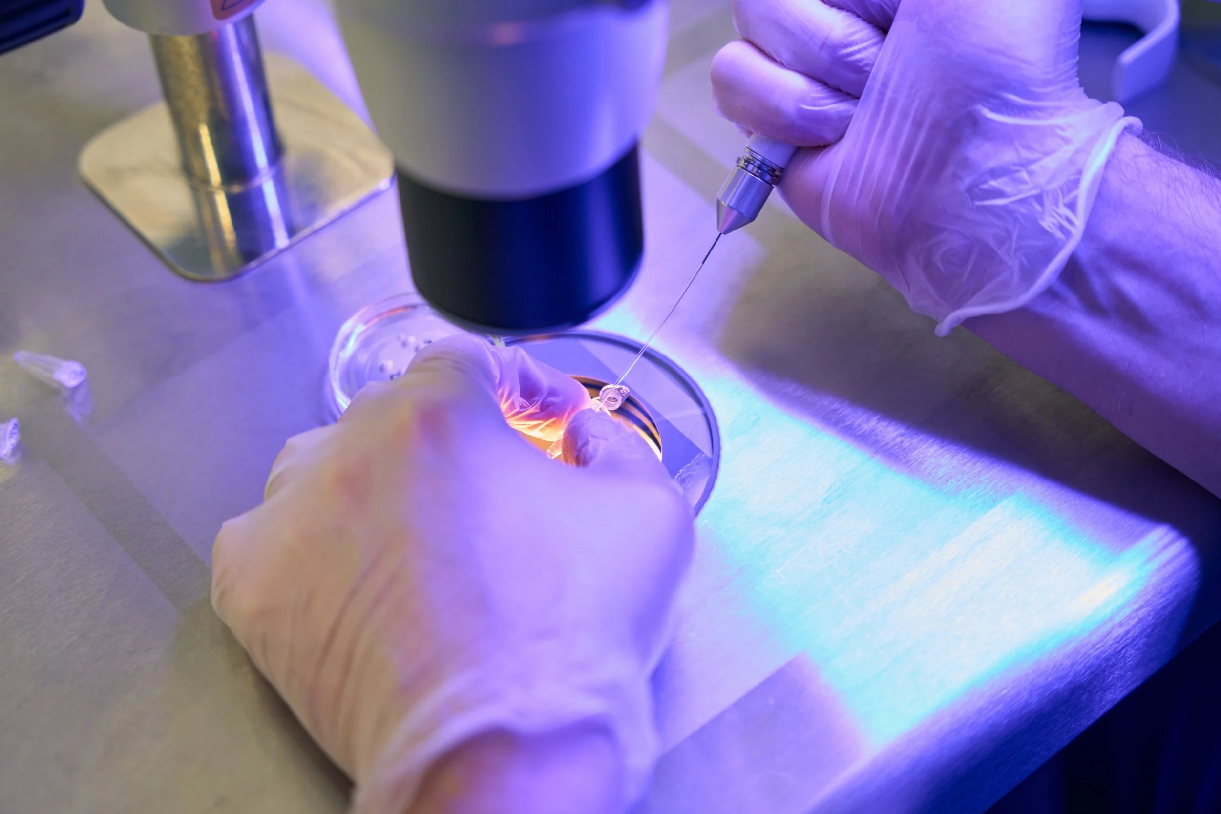 The (t)WE lab Simplified IVF Procedure: First Births after freezing/thawing